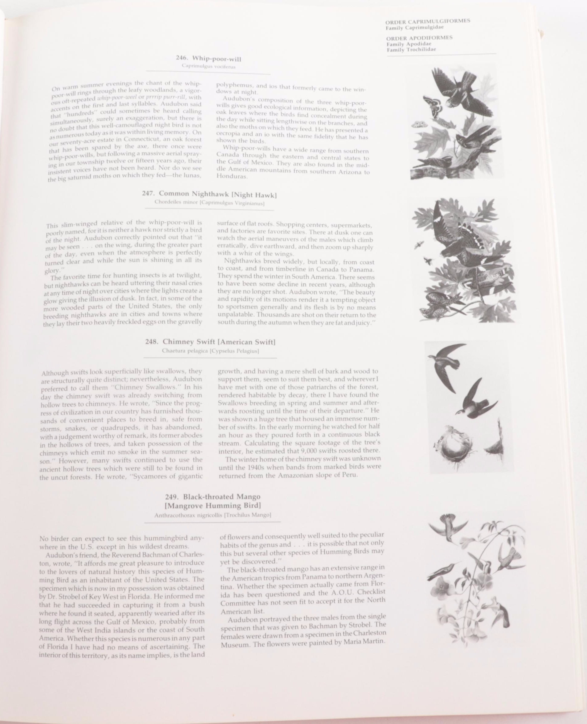 "Audubon's Birds of America" Baby Elephant Folio by the Petersons, 1981