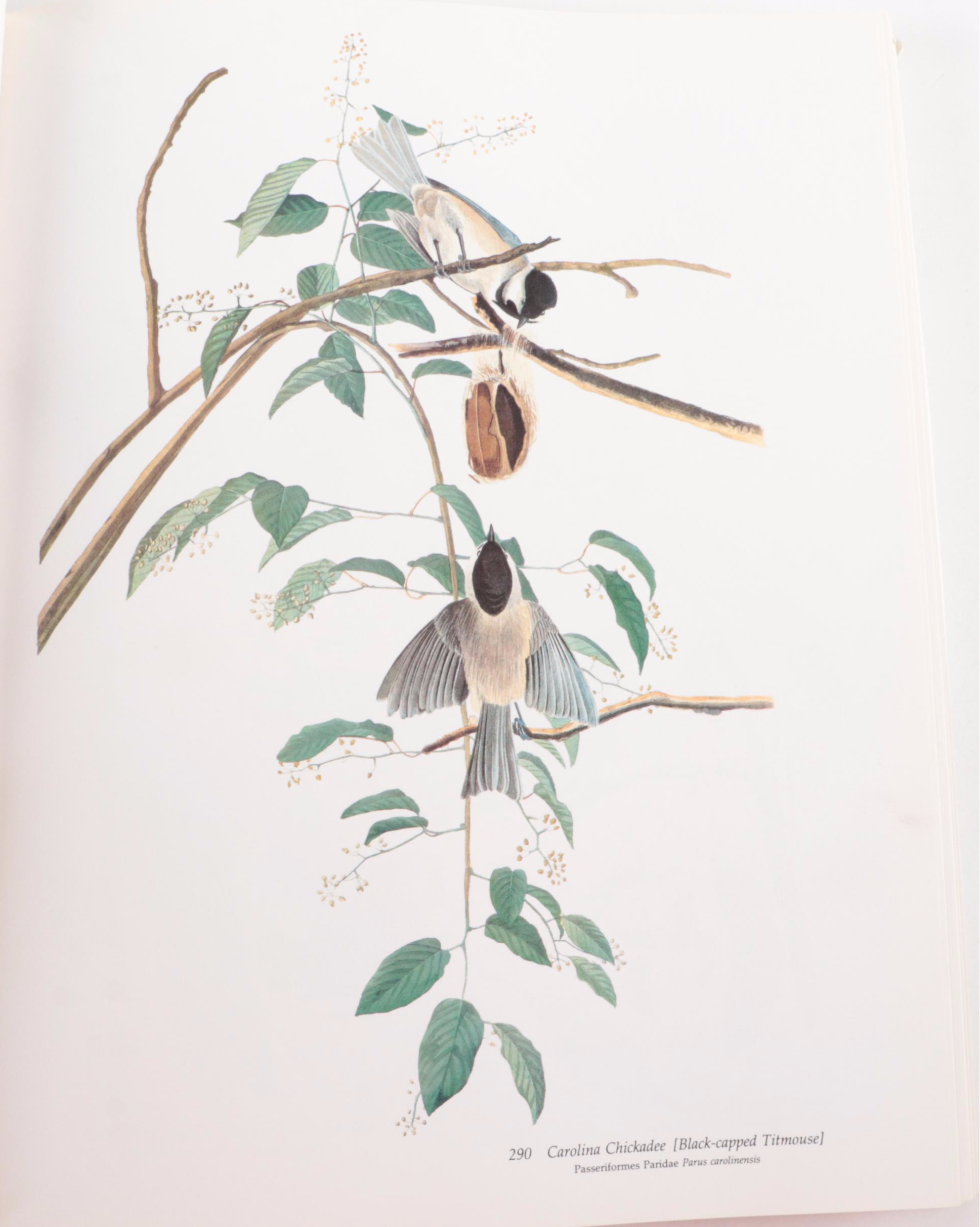 "Audubon's Birds of America" Baby Elephant Folio by the Petersons, 1981