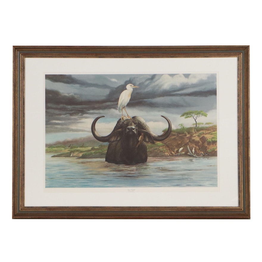 Ray Harm Offset Lithograph "Cape Buffalo"