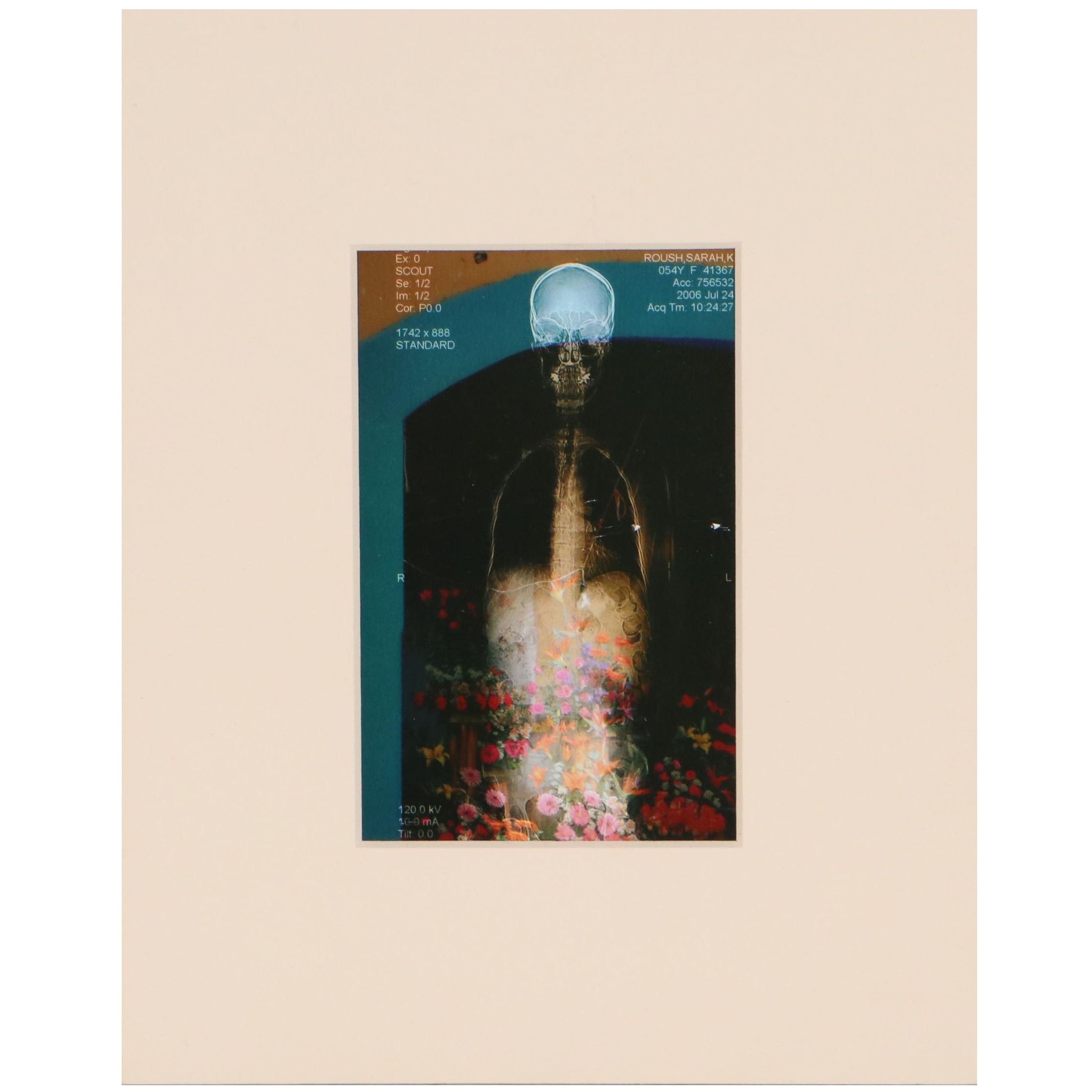 Sarah Roush Abstract Digital Collage