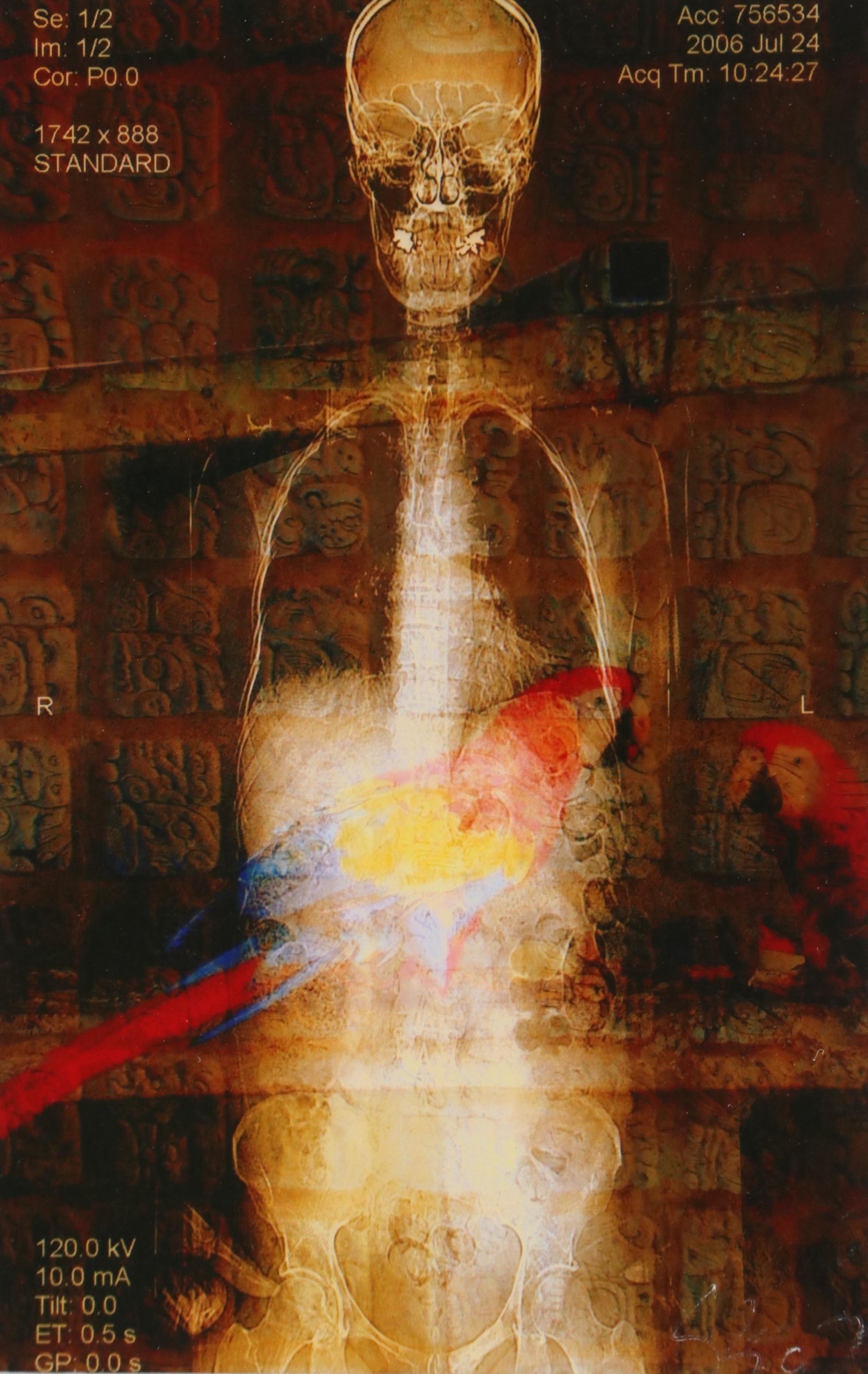 Sarah Roush Abstract Digital Collage