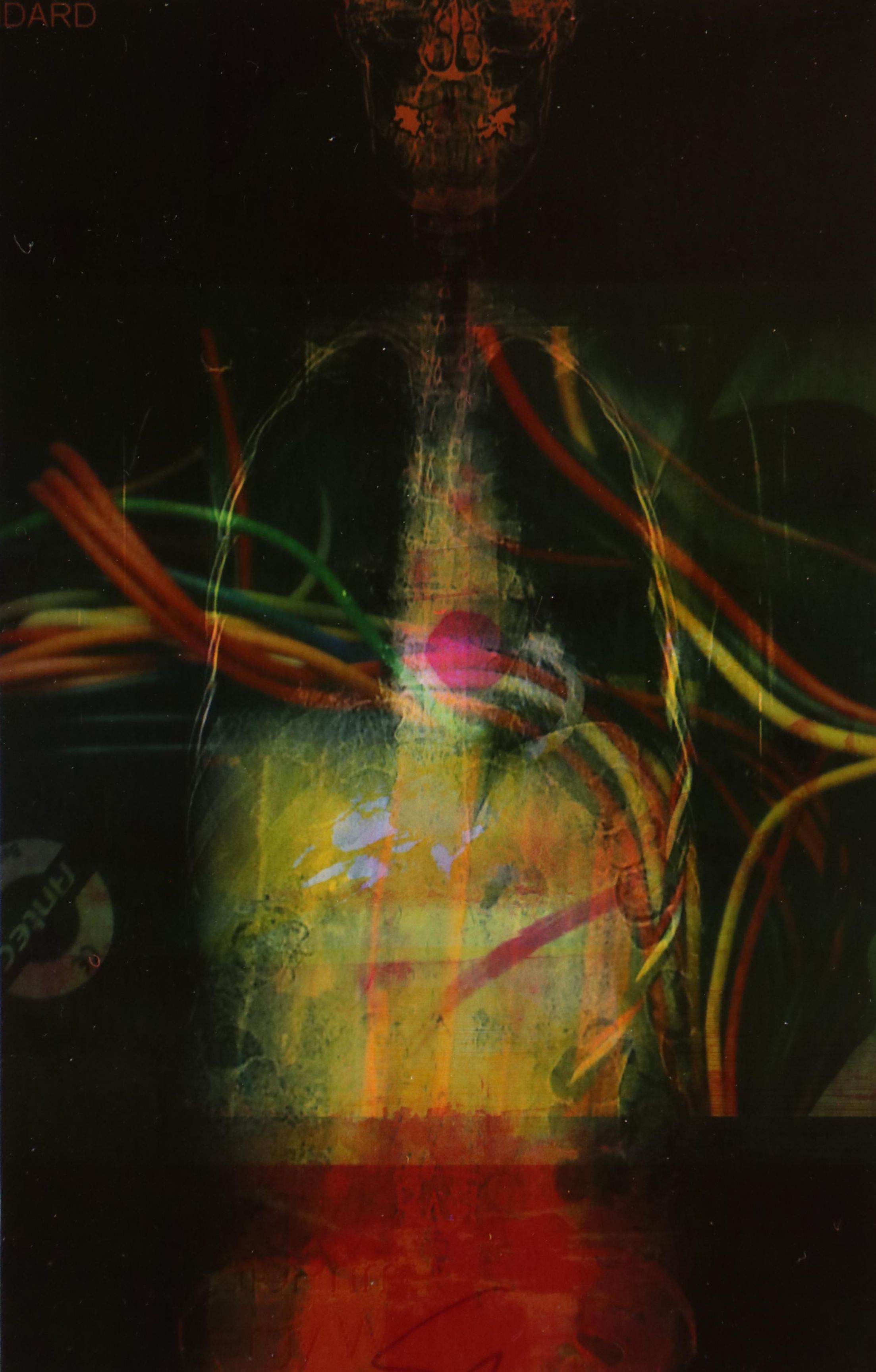 Sarah Roush Abstract Digital Collage