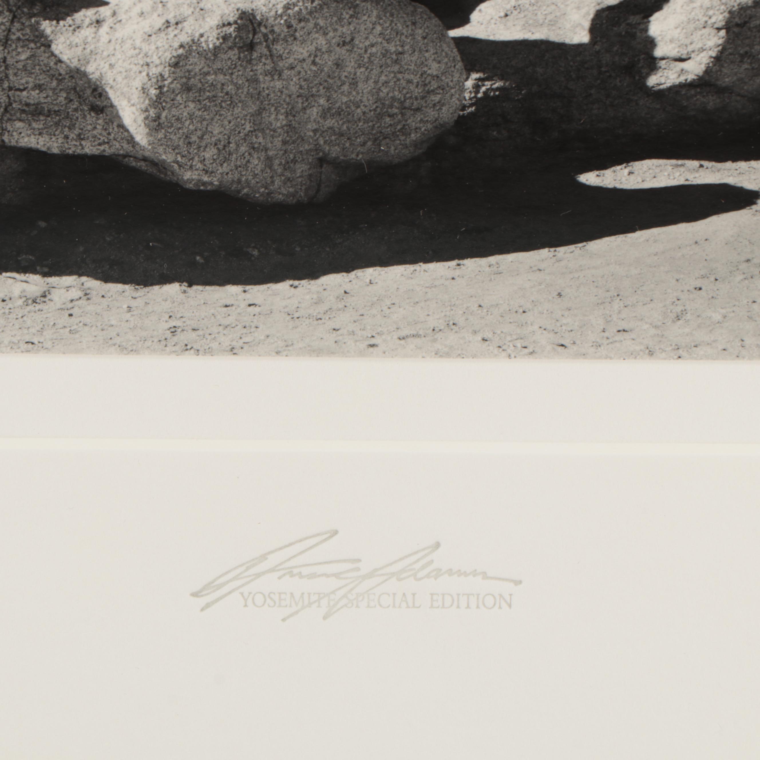 Ansel Adams Silver Gelatin Photograph "Jeffrey Pine"