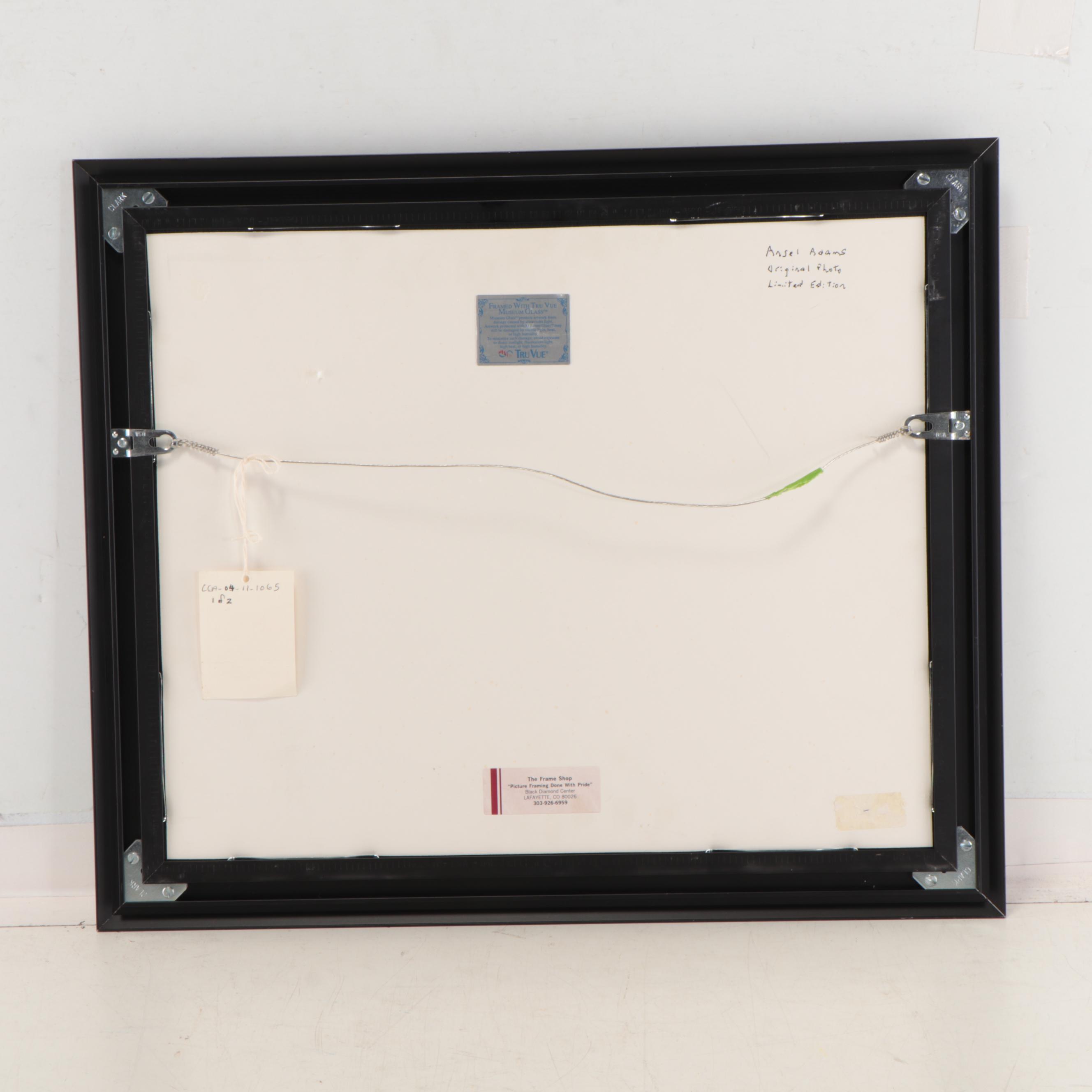 Ansel Adams Silver Gelatin Photograph "Jeffrey Pine"