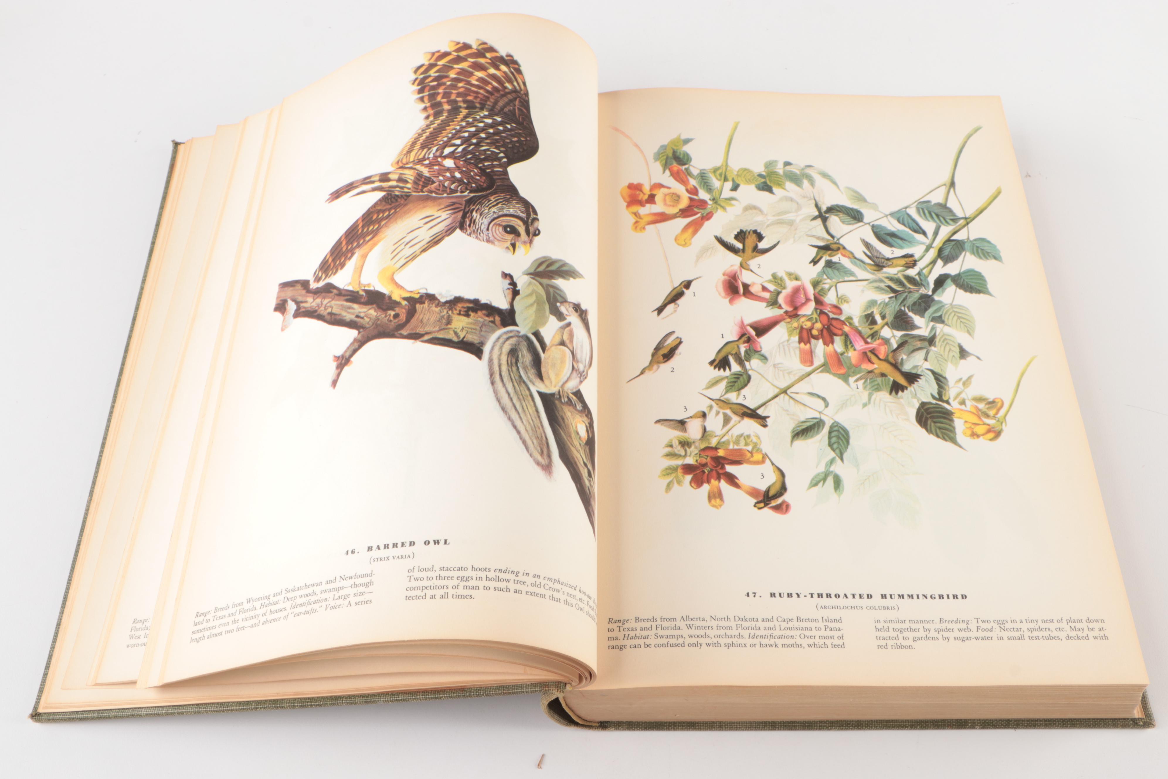First Edition Thus "The Birds of America" by John James Audubon, 1937