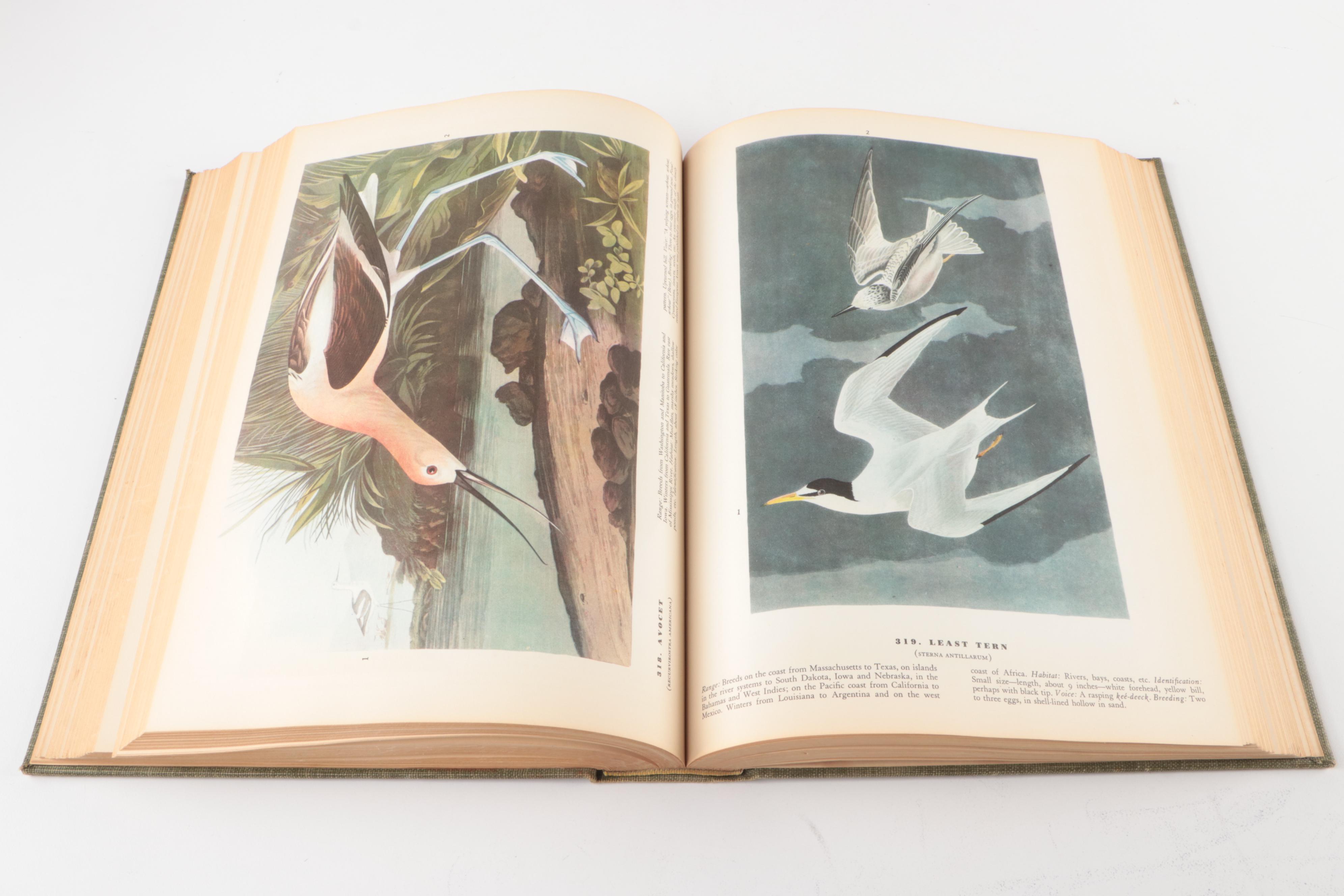 First Edition Thus "The Birds of America" by John James Audubon, 1937