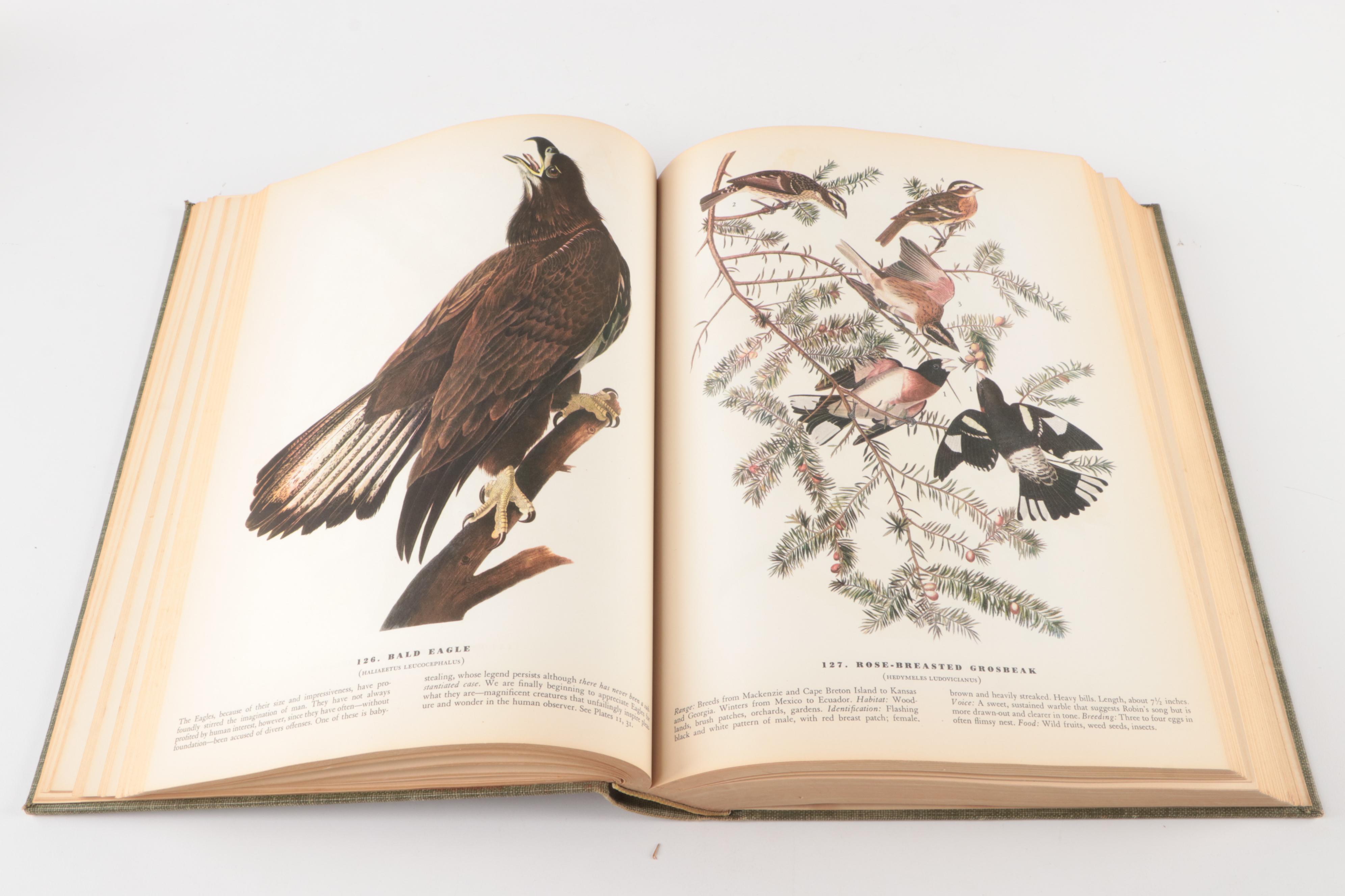 First Edition Thus "The Birds of America" by John James Audubon, 1937