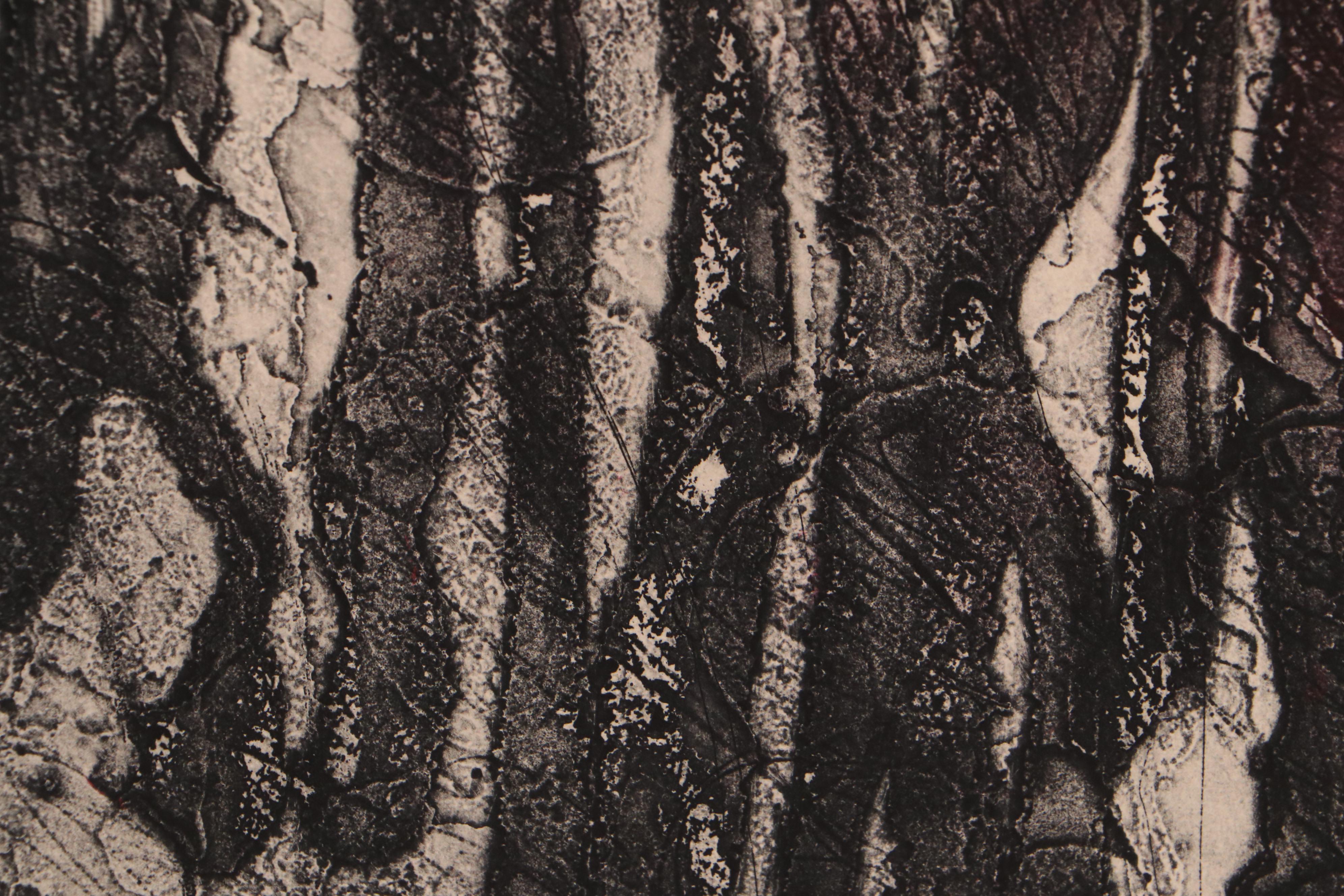 Sarah Roush Abstract Etching "Only Want Neon XX," 1981