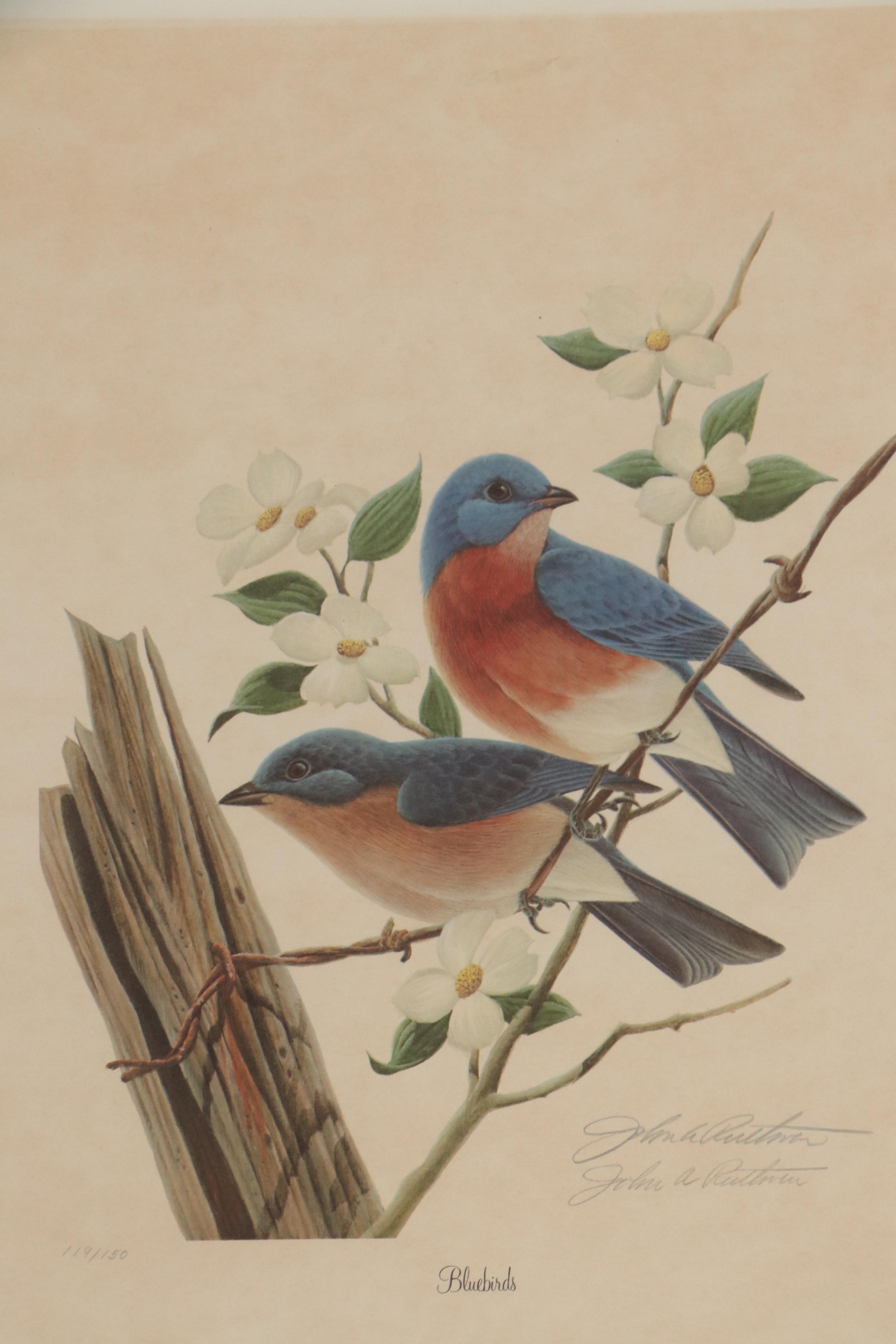 John A. Ruthven Offset Lithograph "Bluebirds"