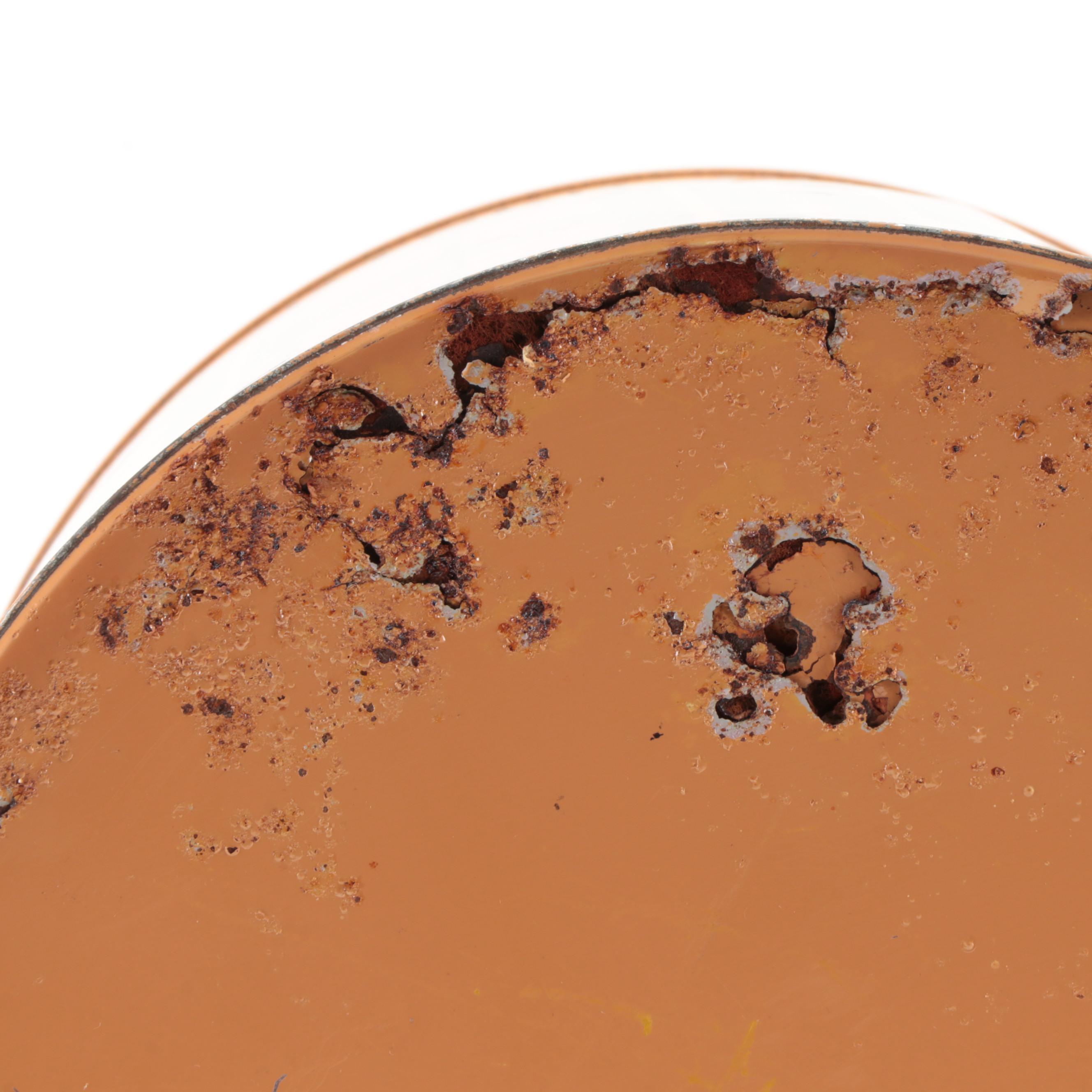 Tartan Picnic Bag With Hamilton "Skotch Ice" Ice Packs and Round Cooler