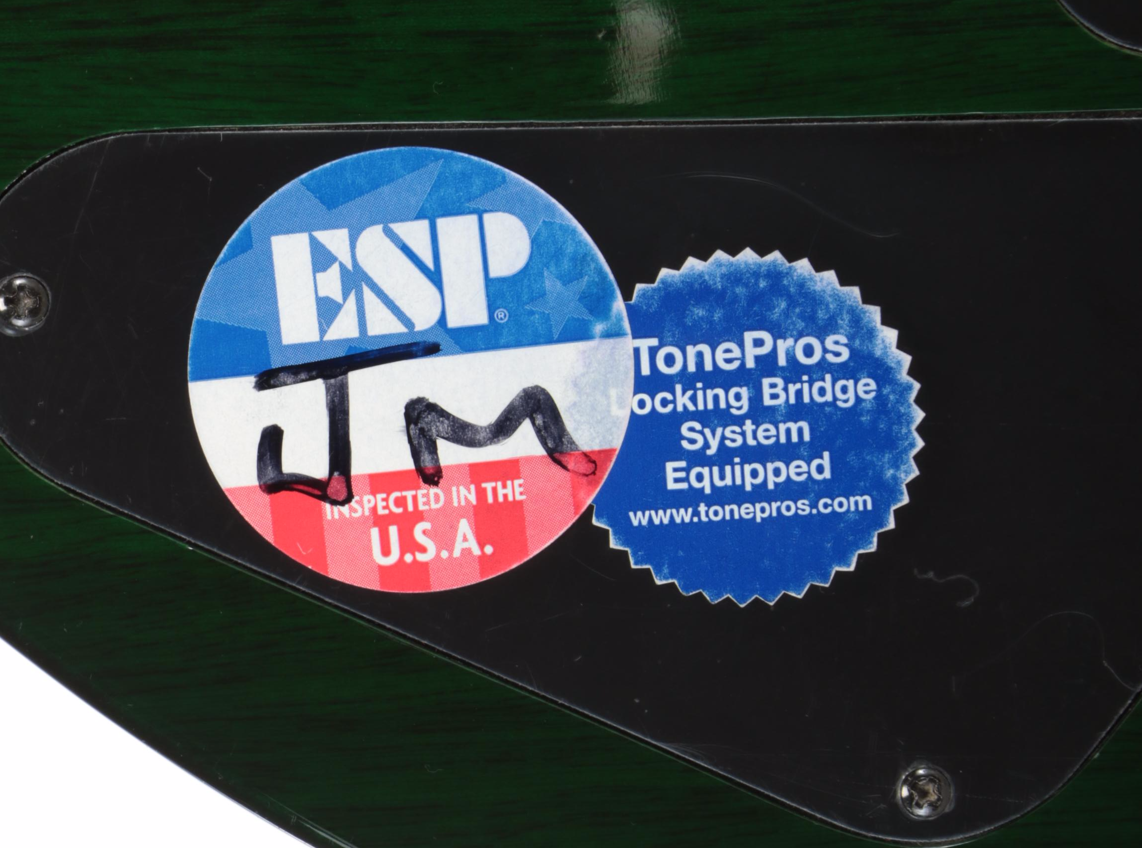 ESP LTD Deluxe EC-1000 Six String Electric Guitar with Soft Shell Case