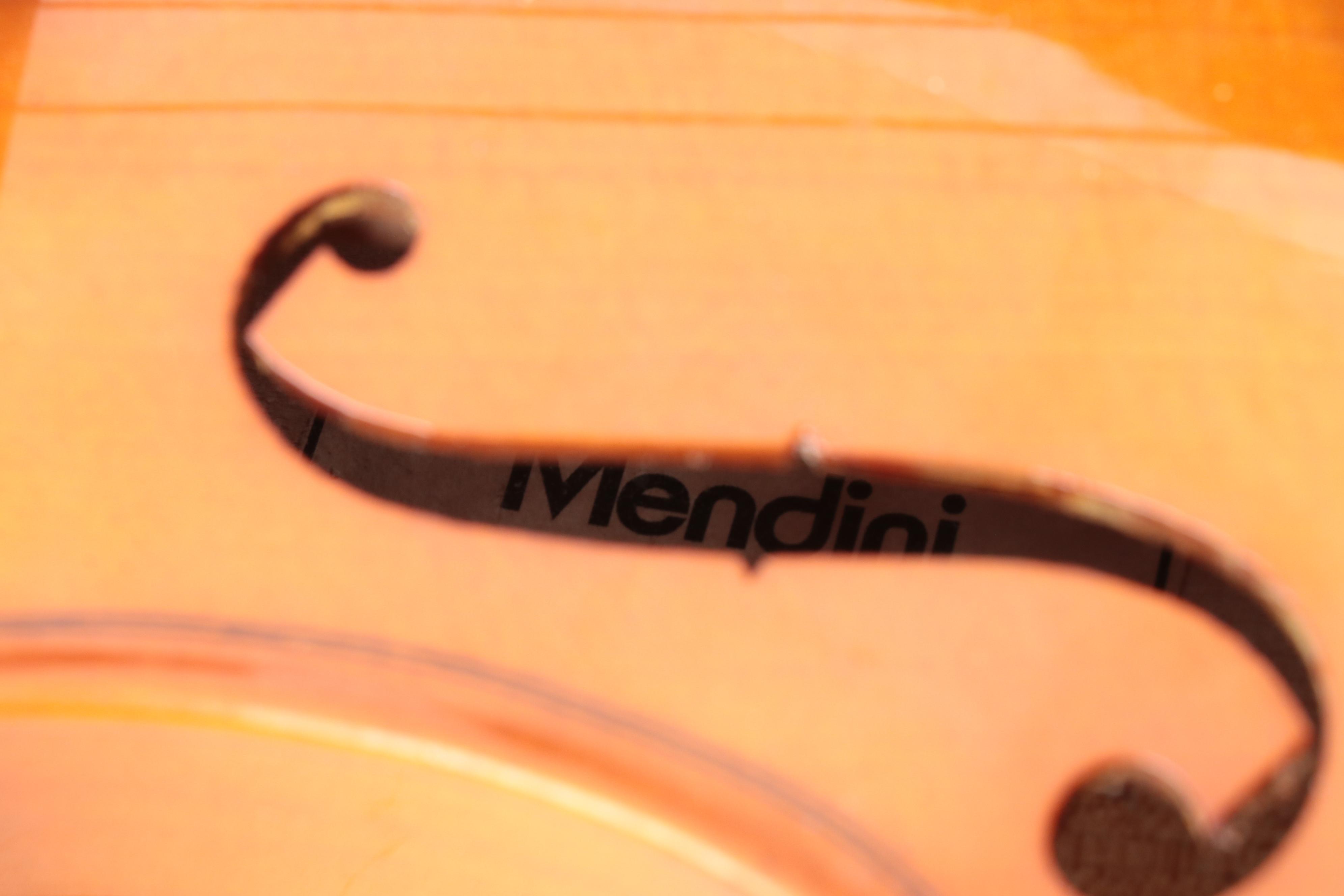 Mendini by Cecilio 4/4 Violin With Case and Bows