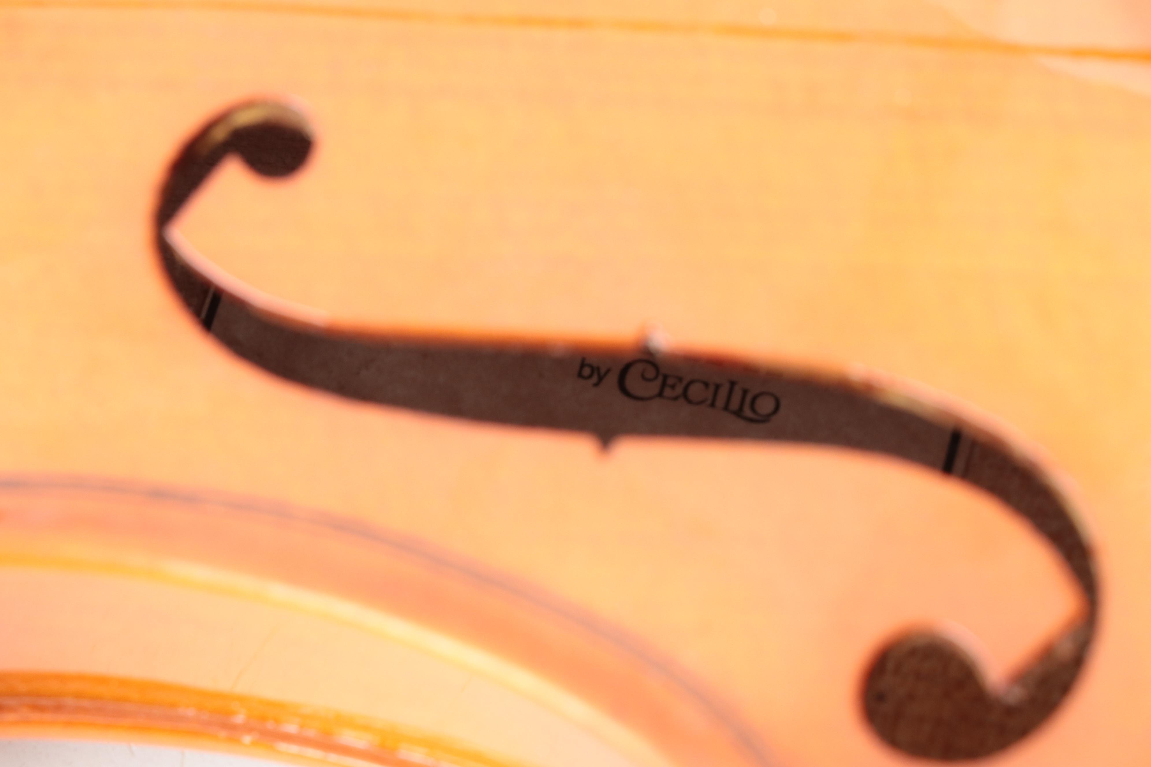 Mendini by Cecilio 4/4 Violin With Case and Bows