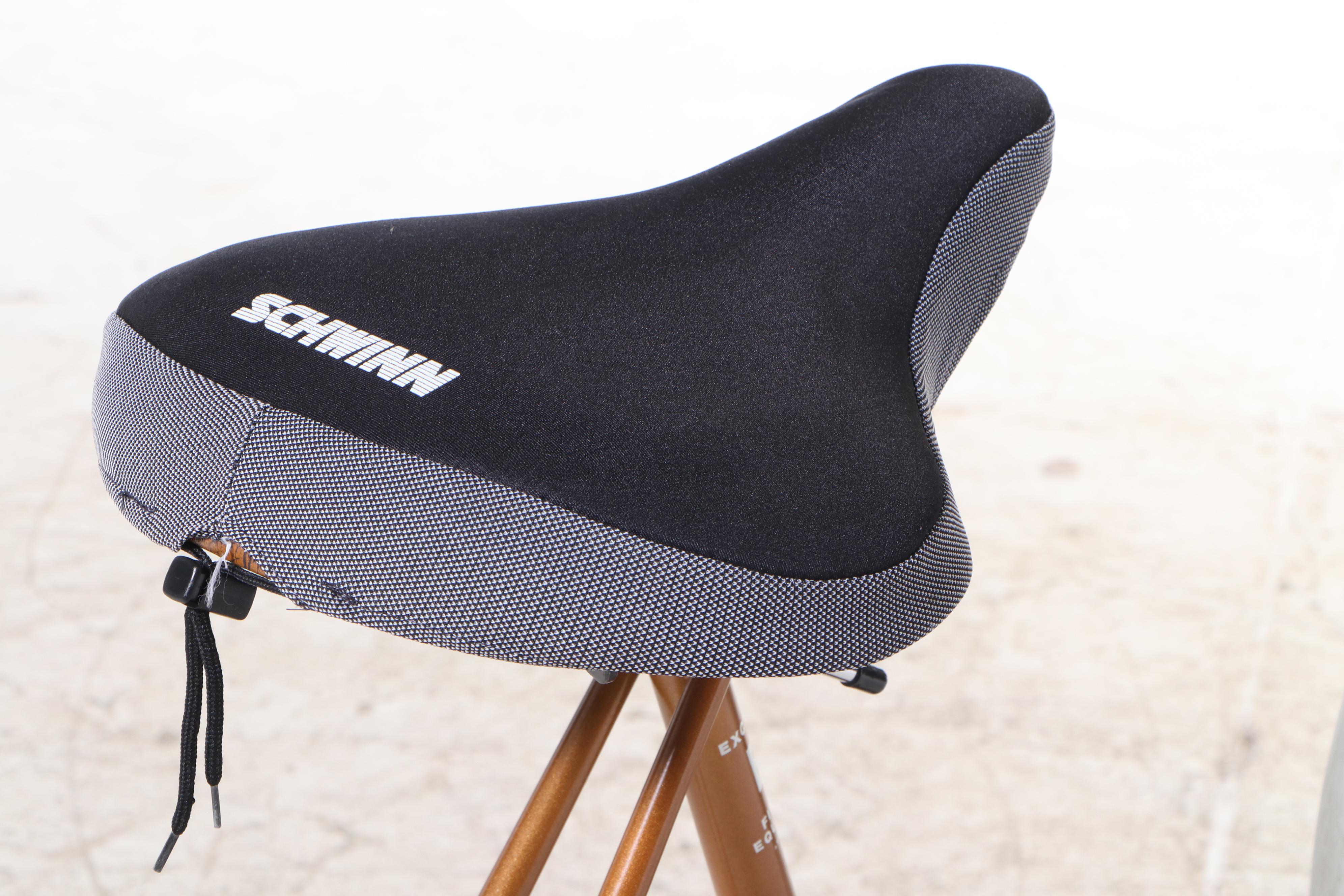 Schwinn Air-Dyne Ergometric Exercise Bicycle