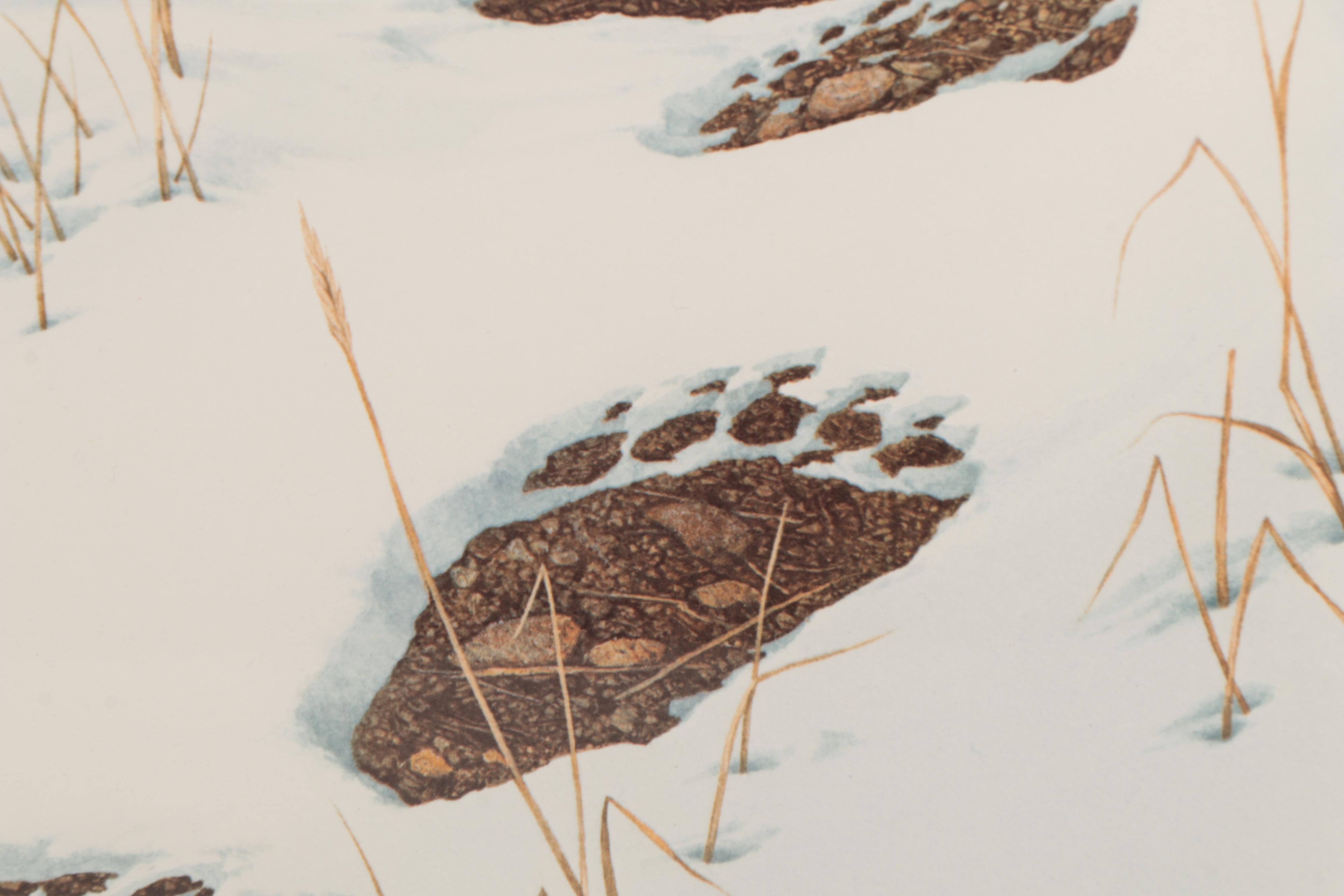 Bev Doolittle Offset Lithograph "Doubled Back," Late 20th Century