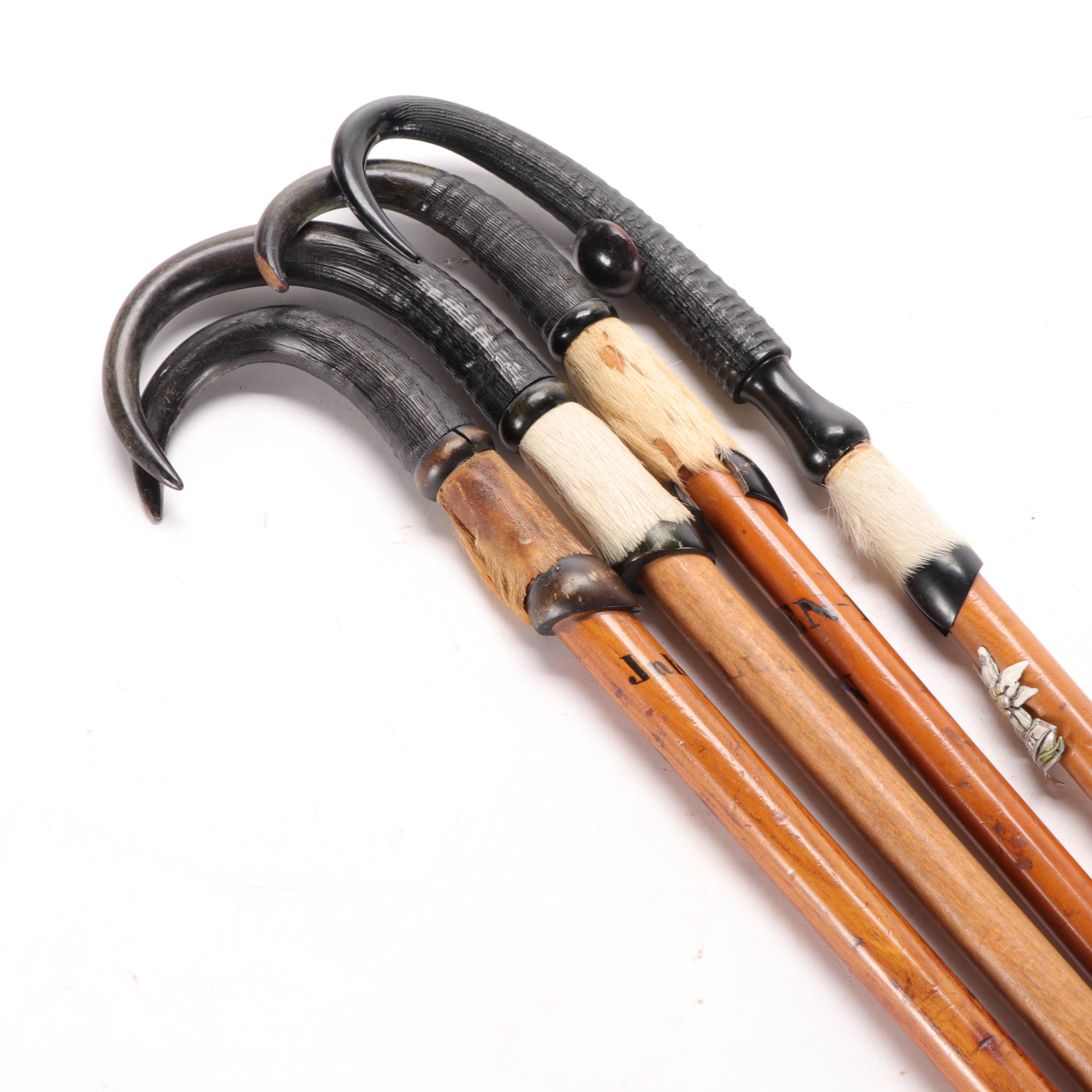 Swiss Goat Horn-Handled Walking Sticks with Hiking Badges, Mid-Late 20th C.