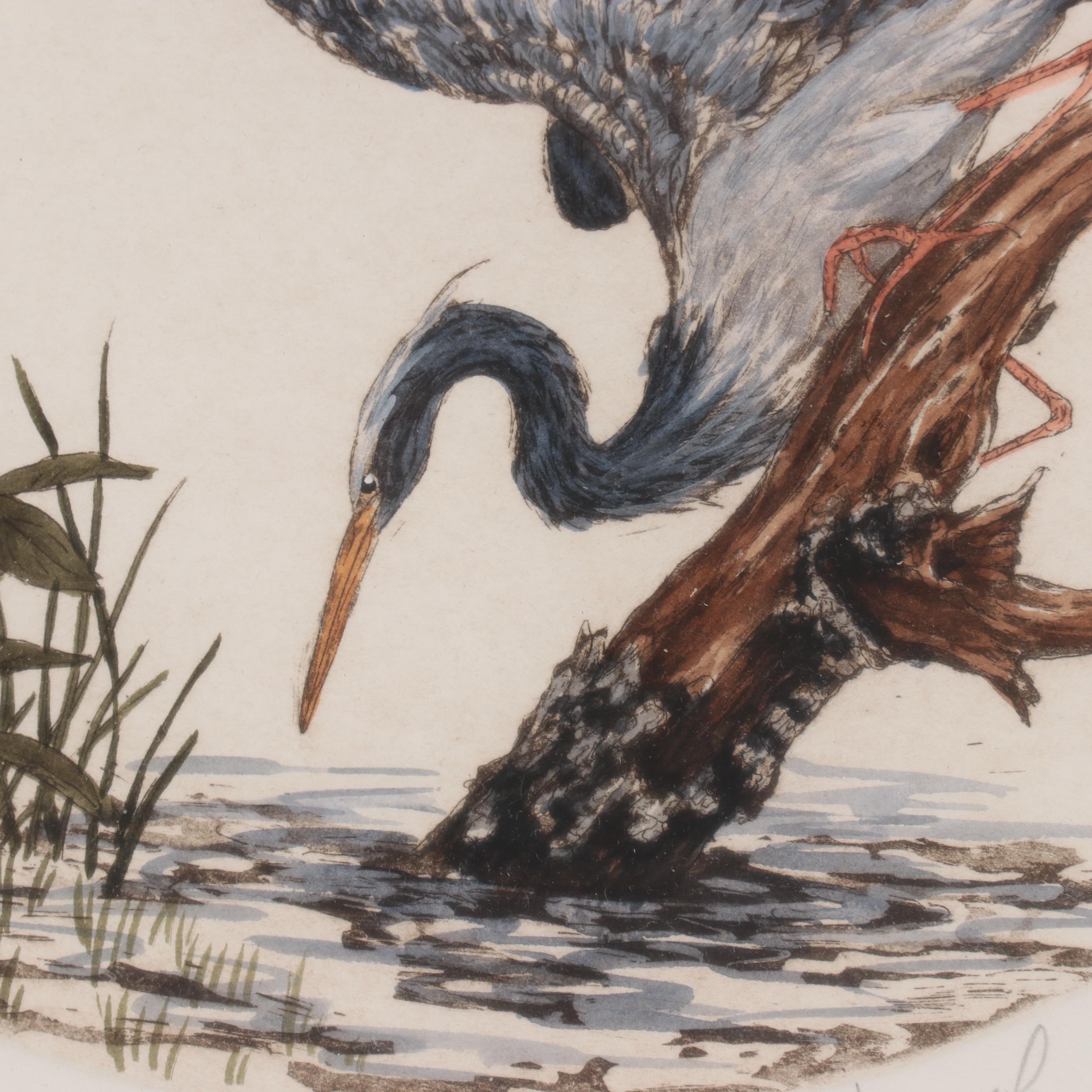 Dianne Krumel Hand-Colored Etching "Heron II"