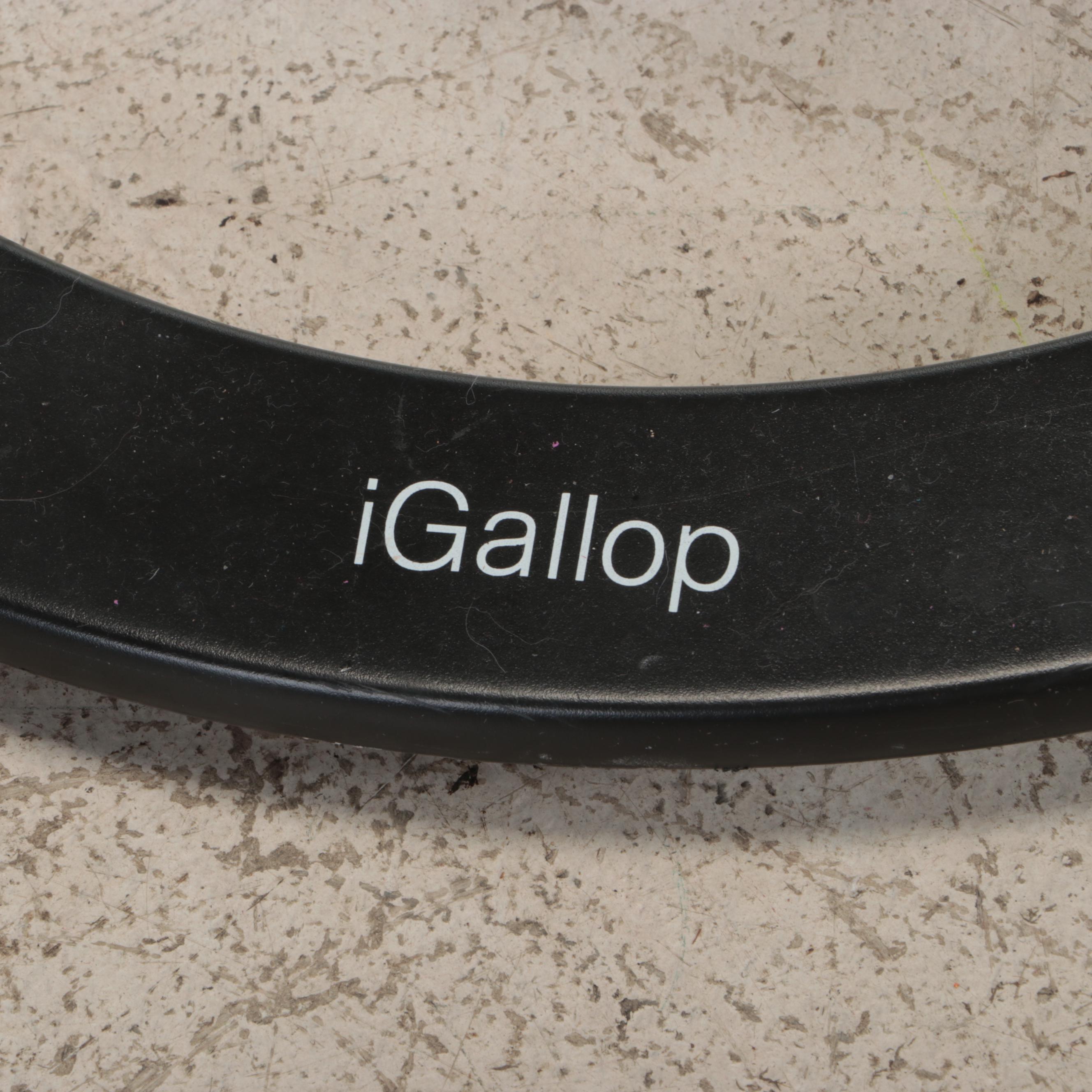 Brookstone OSIM iGallop Core and Abs Exerciser