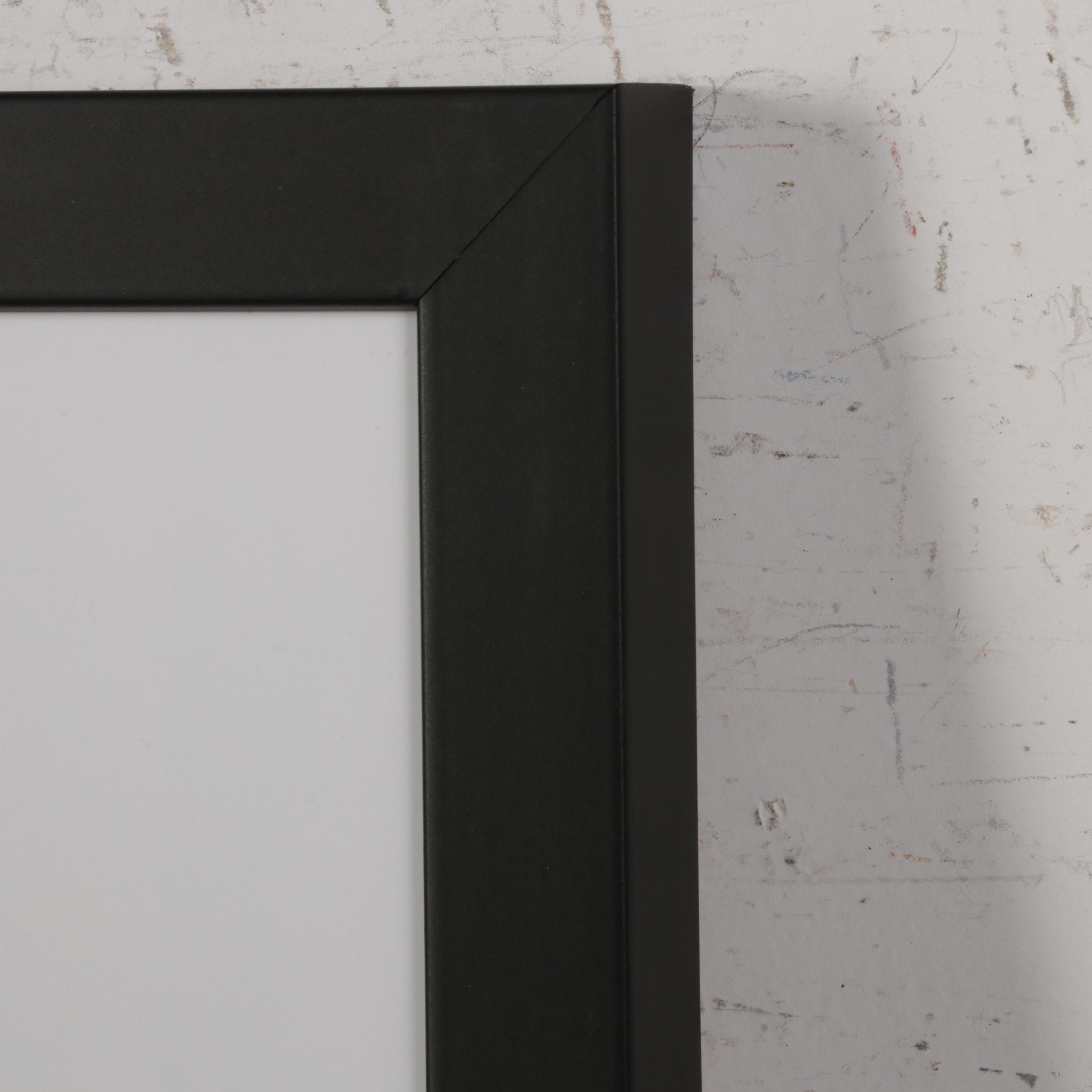 Offset Lithograph "F" From "Belles Lettres: A Photo-Alphabet," 1971