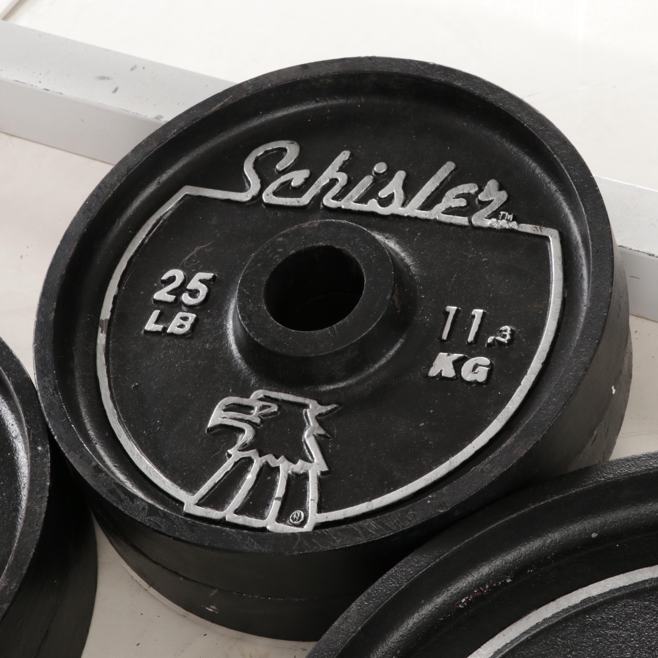 Schisler 45 Degree Hack Squat Leg Press Machine with Weight Plates