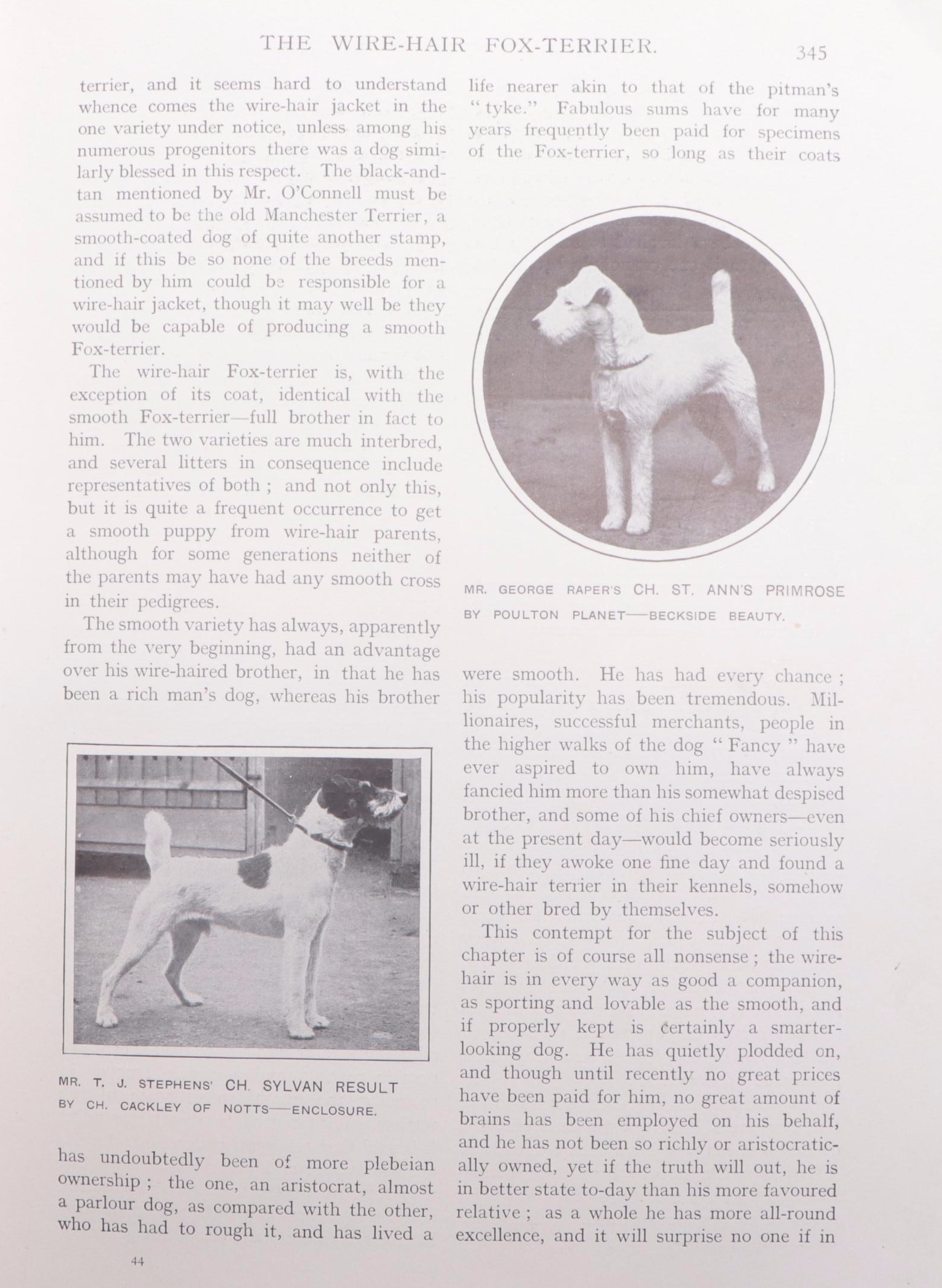 First Edition "The American Kennel Club Blue Book of Dogs" and More Dog Books