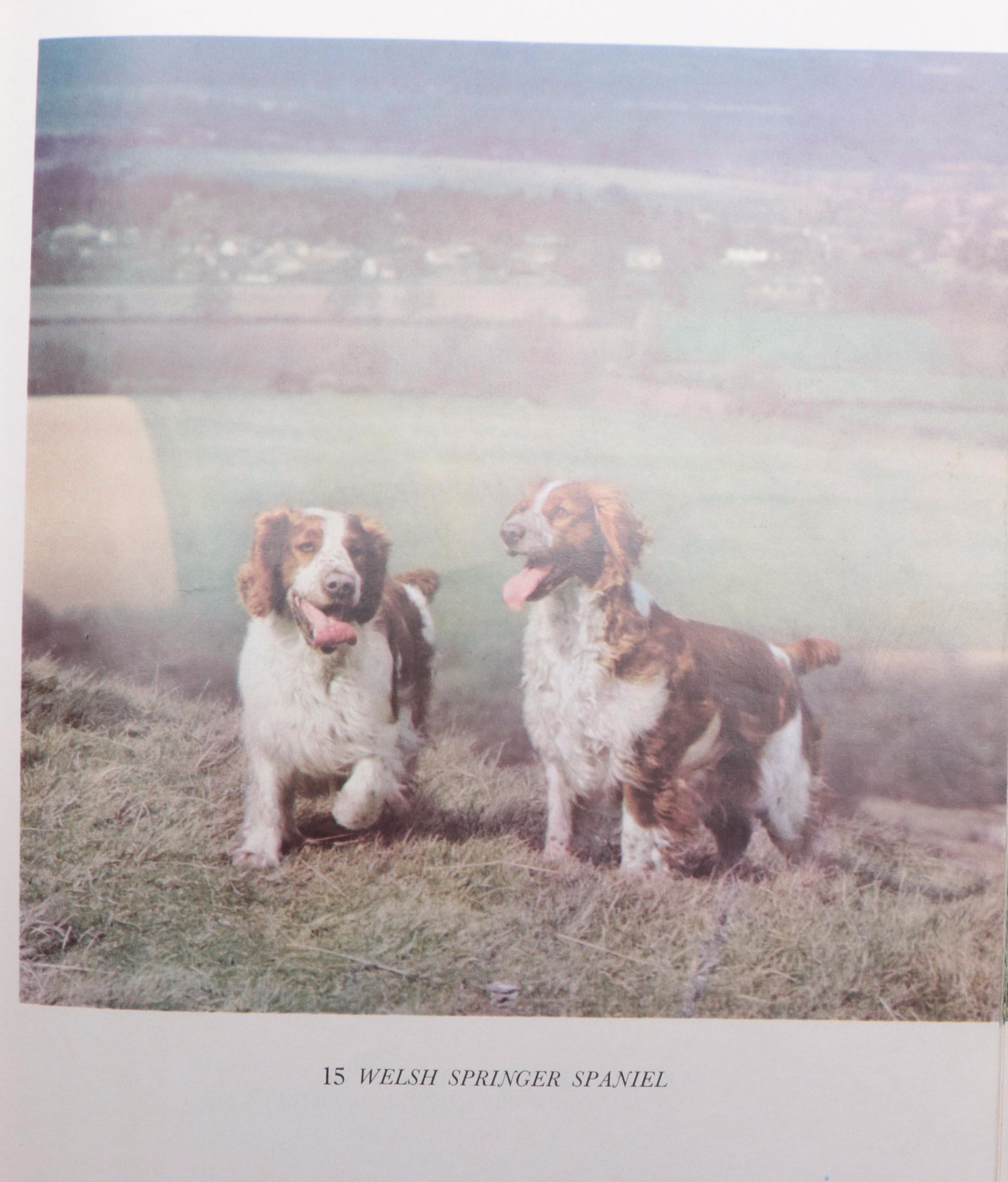 First Edition "The American Kennel Club Blue Book of Dogs" and More Dog Books