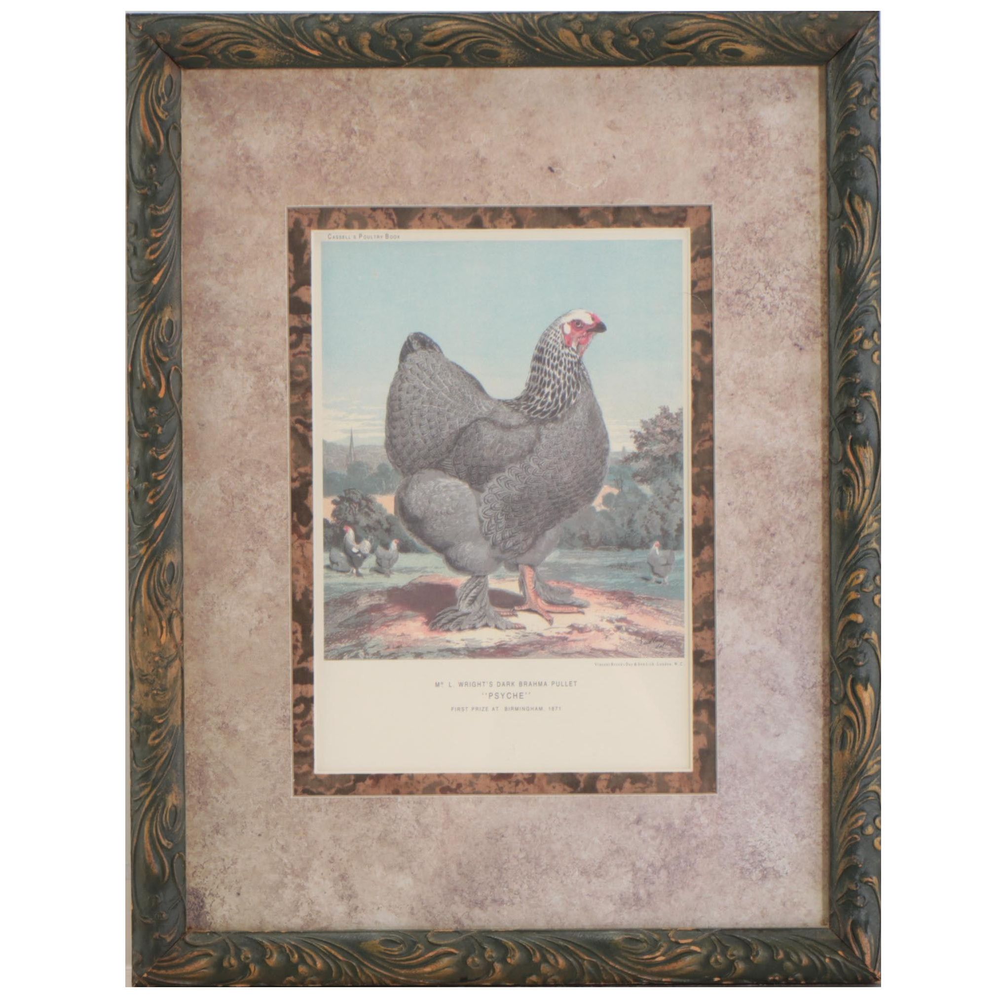 Offset Lithograph After Poultry Illustration "Psyche"