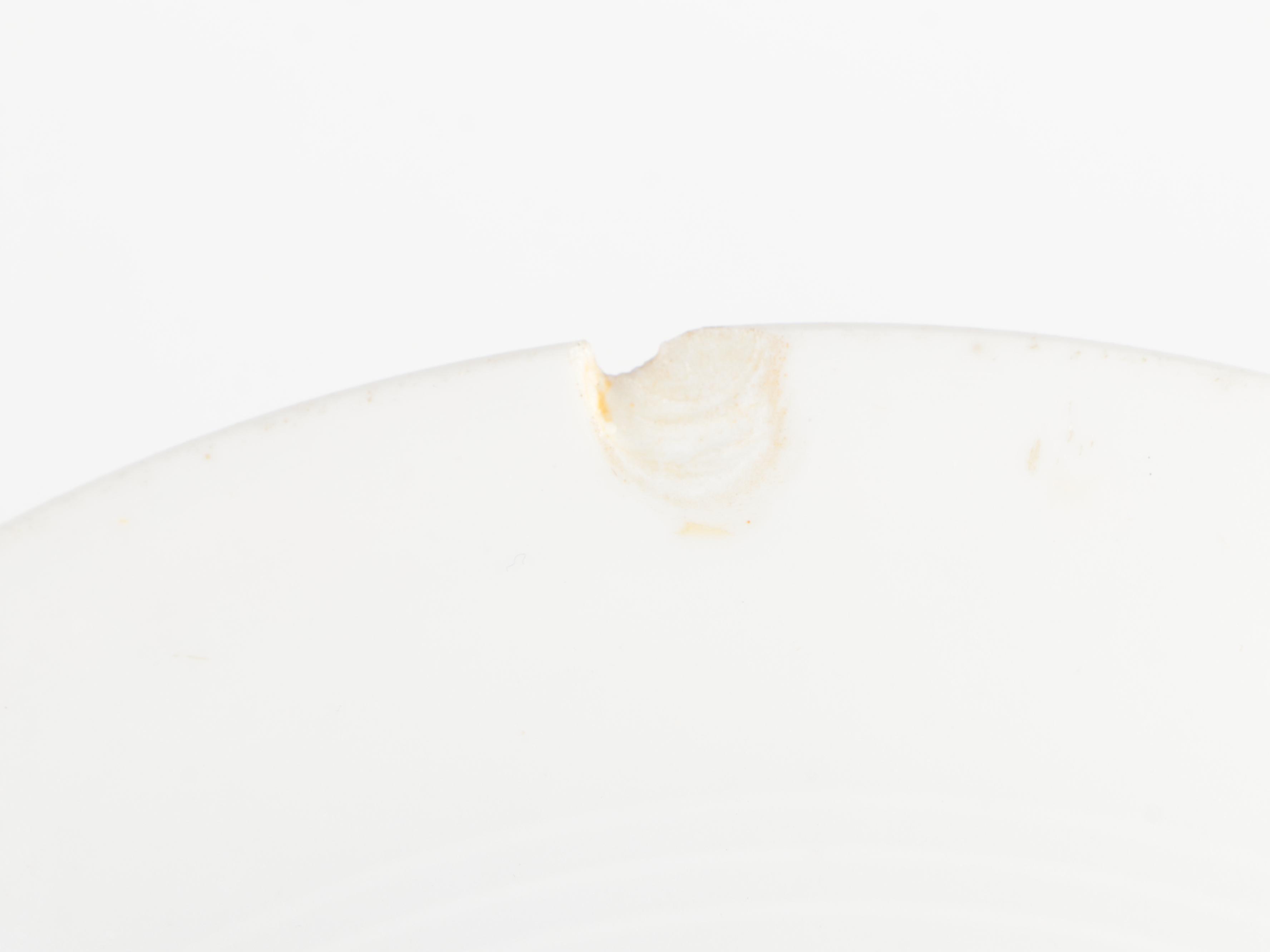 Haviland Floral Scrolled Rim Porcelain Dinnerware and More