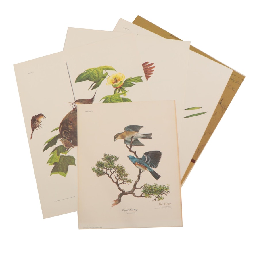 Ray Harm Offset Lithographs Including "Yellow-headed Blackbird"