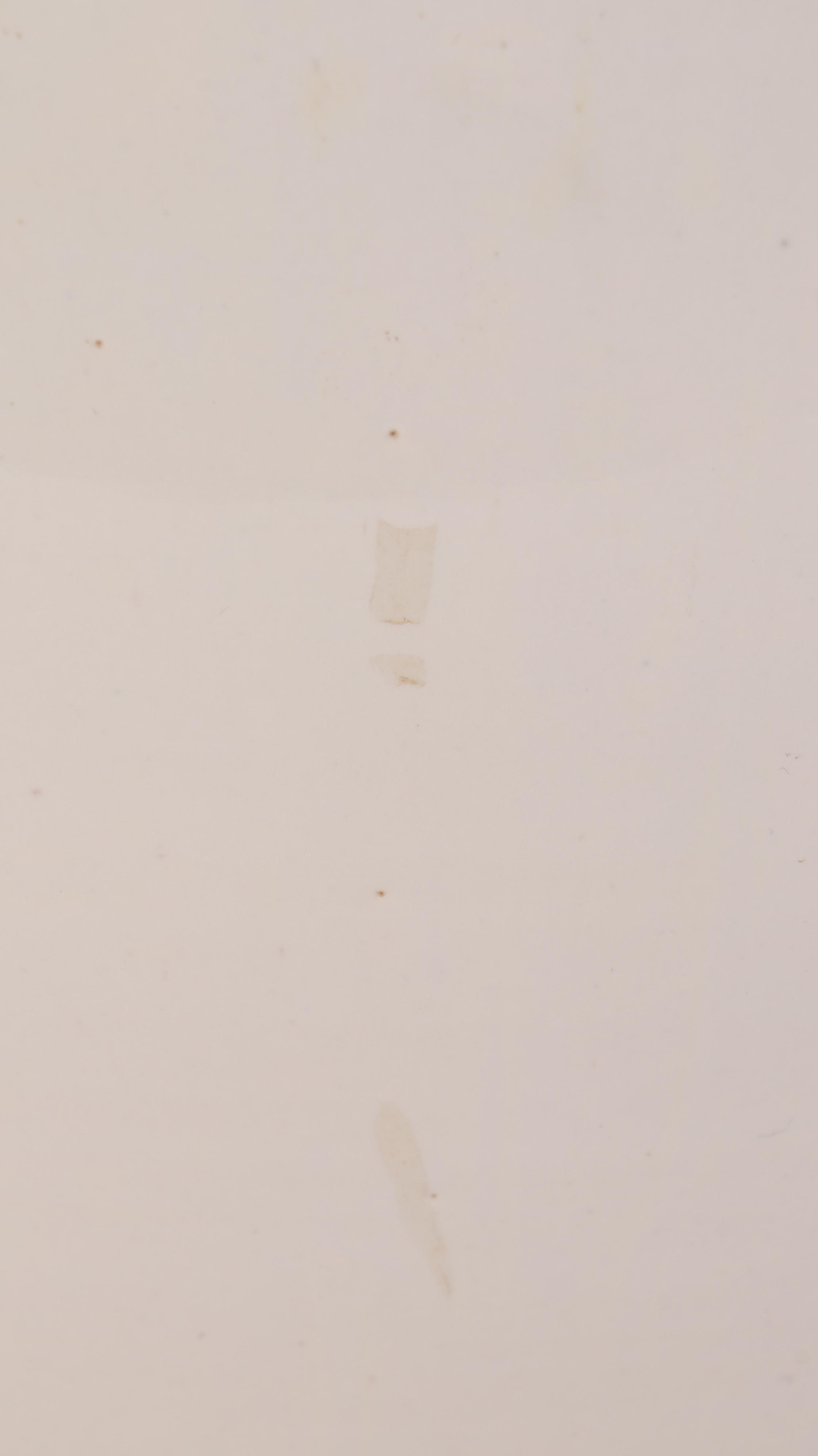 Sebastiano Maglio for Haeger Art Pottery Hand Thrown Vase, Mid-20th Century