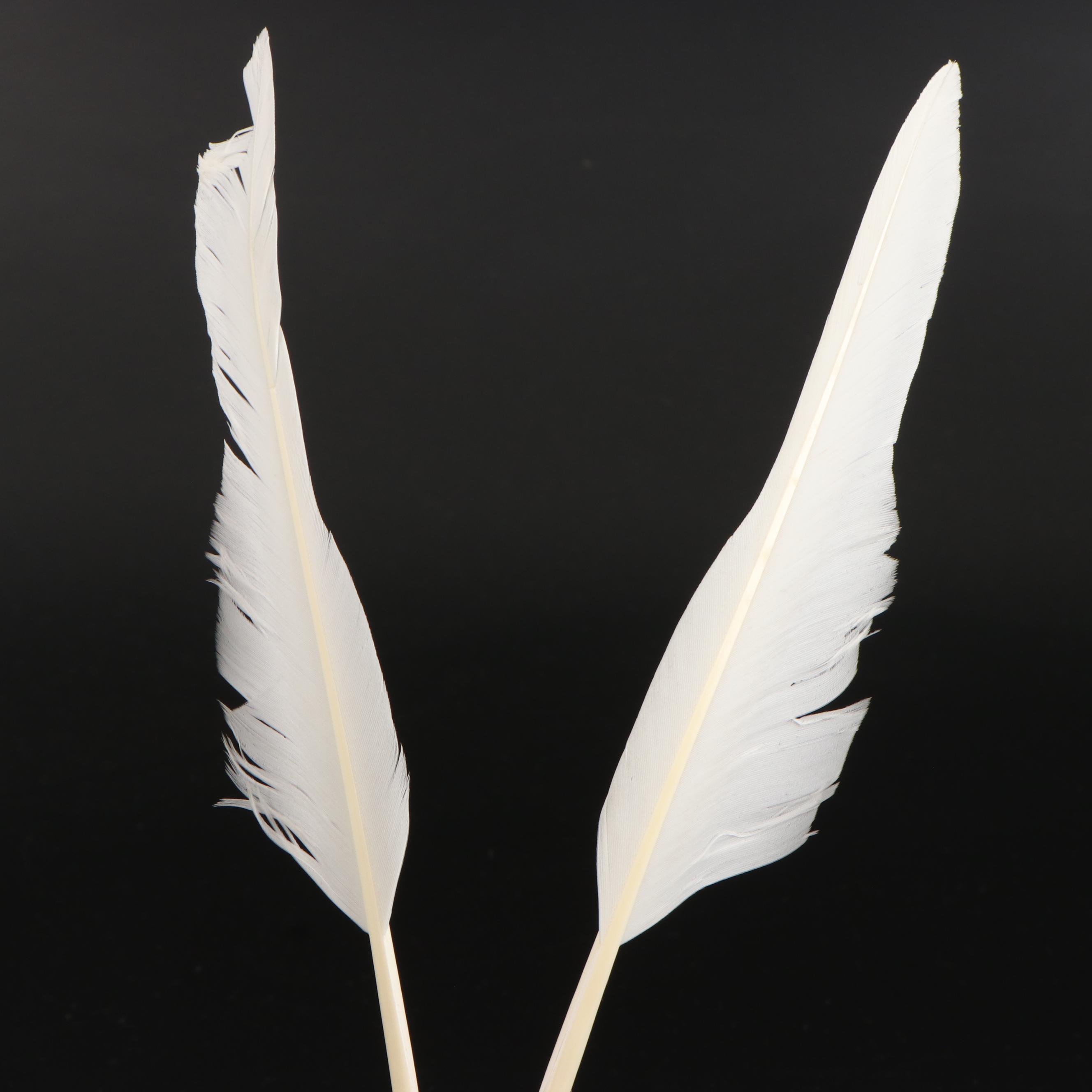 Lewis Glaser Hand-Cut Goose Quill Pens and Silver Plate Inkwell