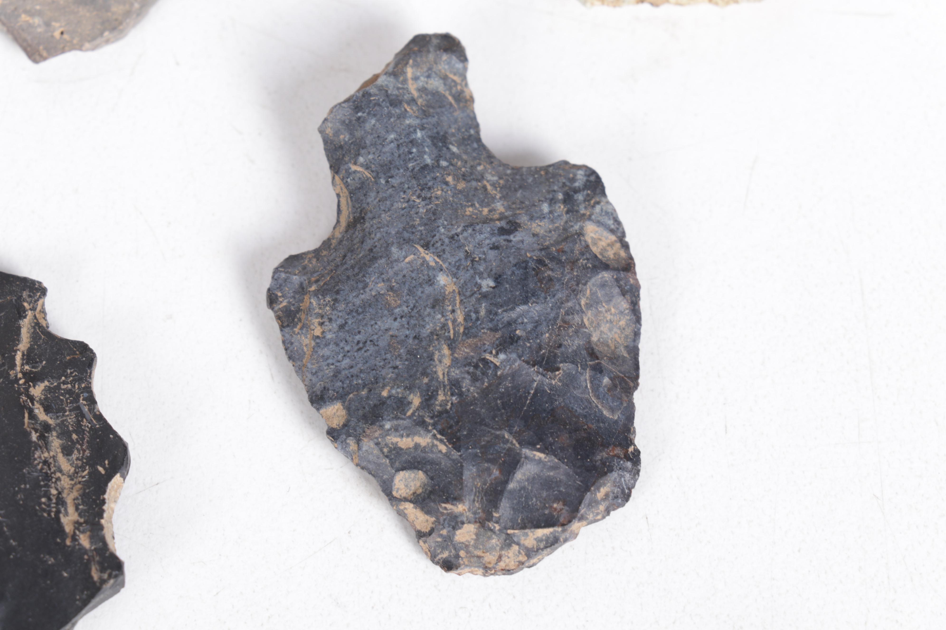 Projectile Points in Display Case with Other Lithic Artifacts
