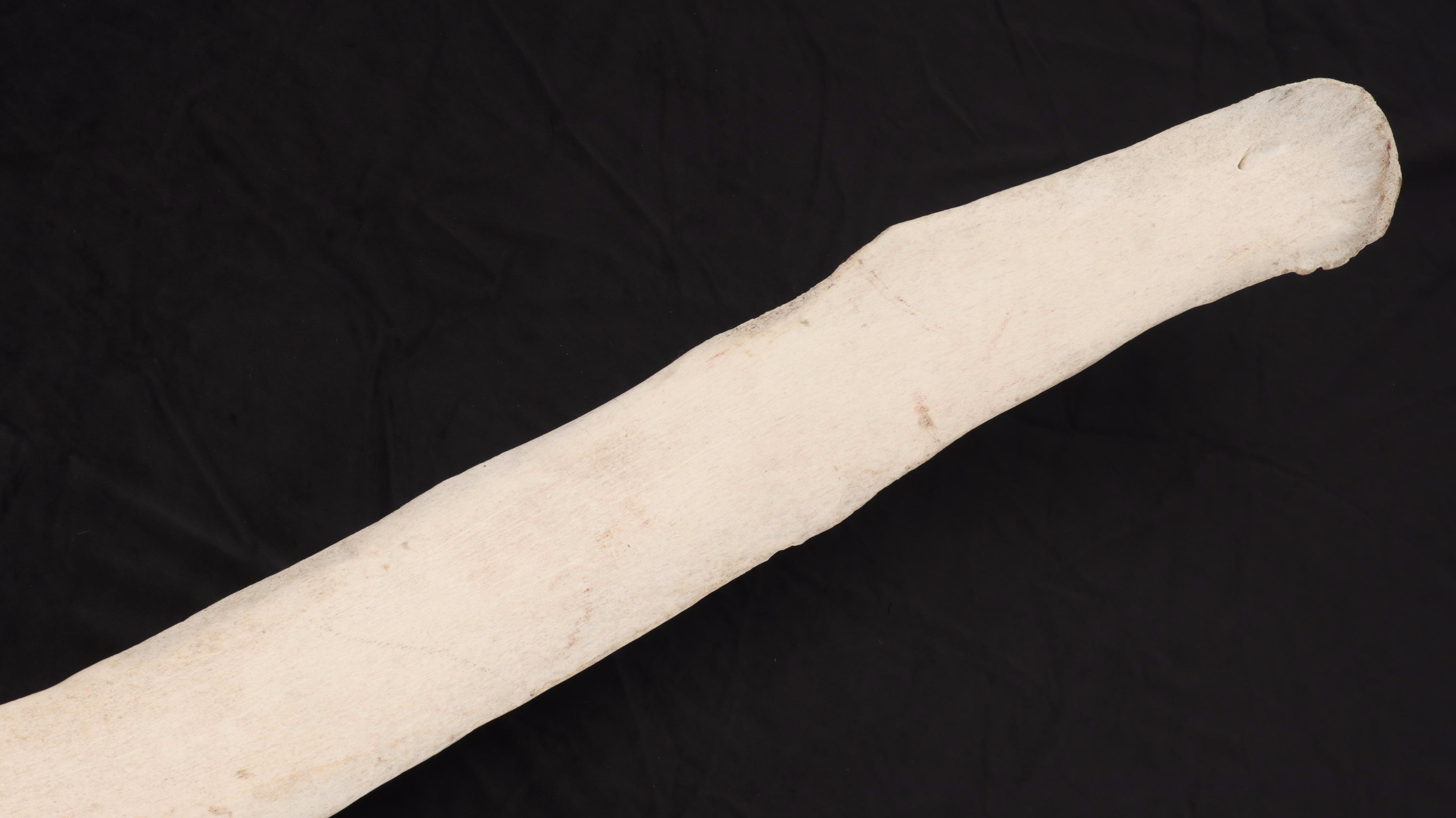 Whale Rib Bone