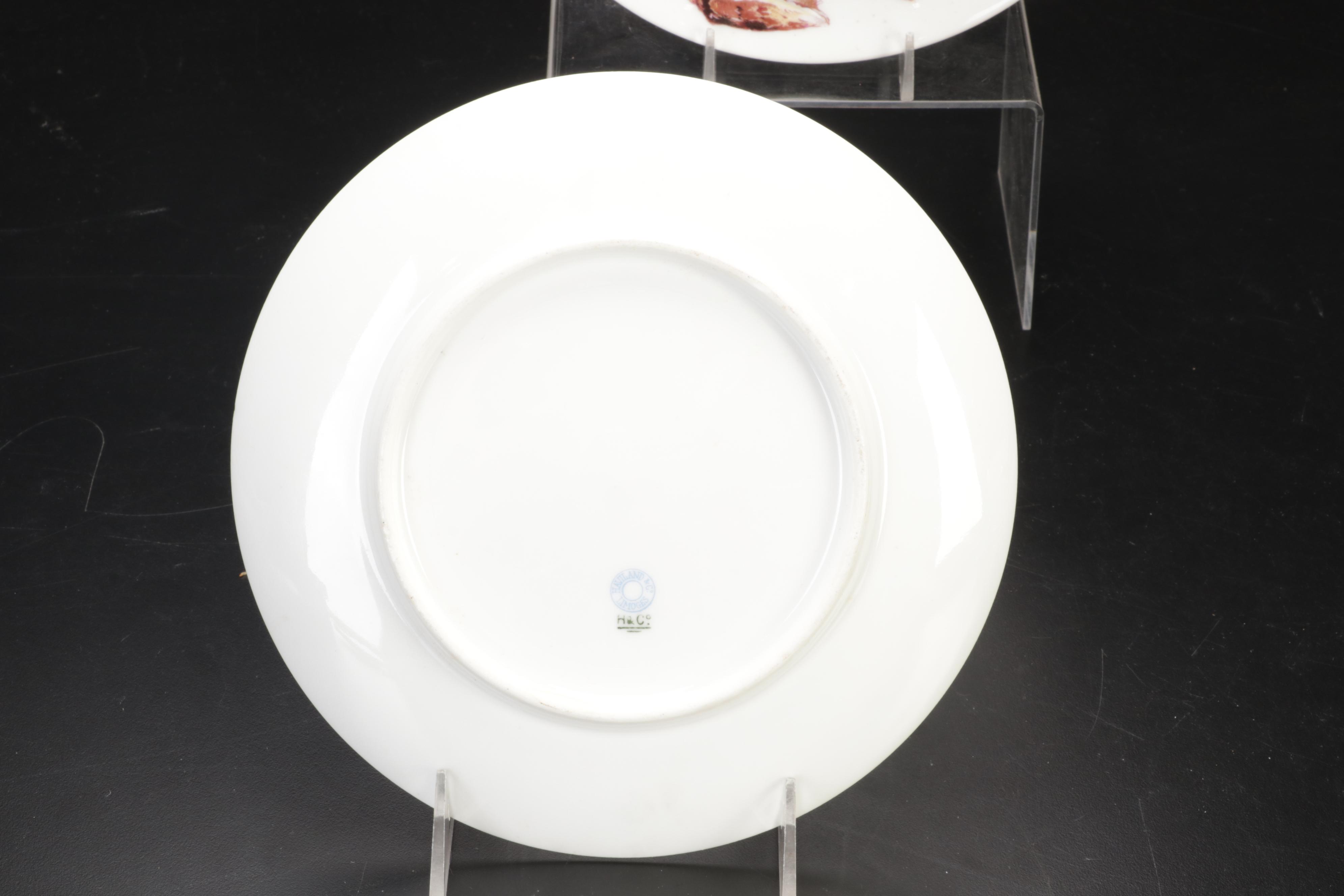 Haviland & Co. Limoges Marine Life Porcelain Plates