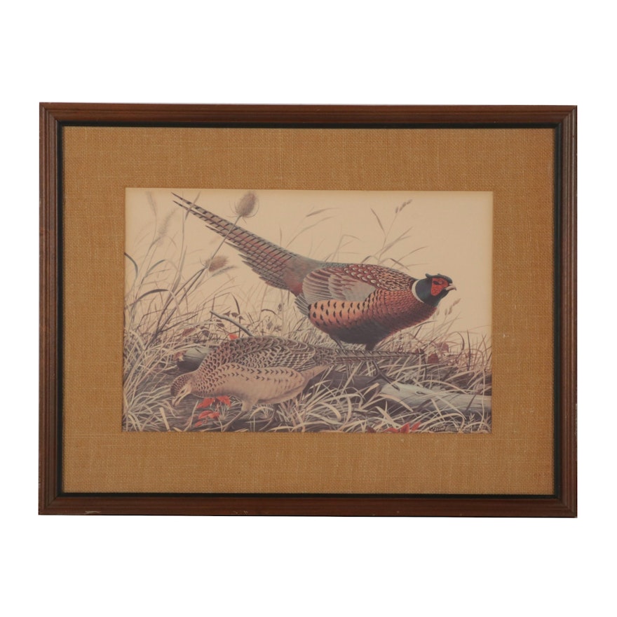 Offset Lithograph After William Zimmerman "Pheasants," Mid-Late 20th Century