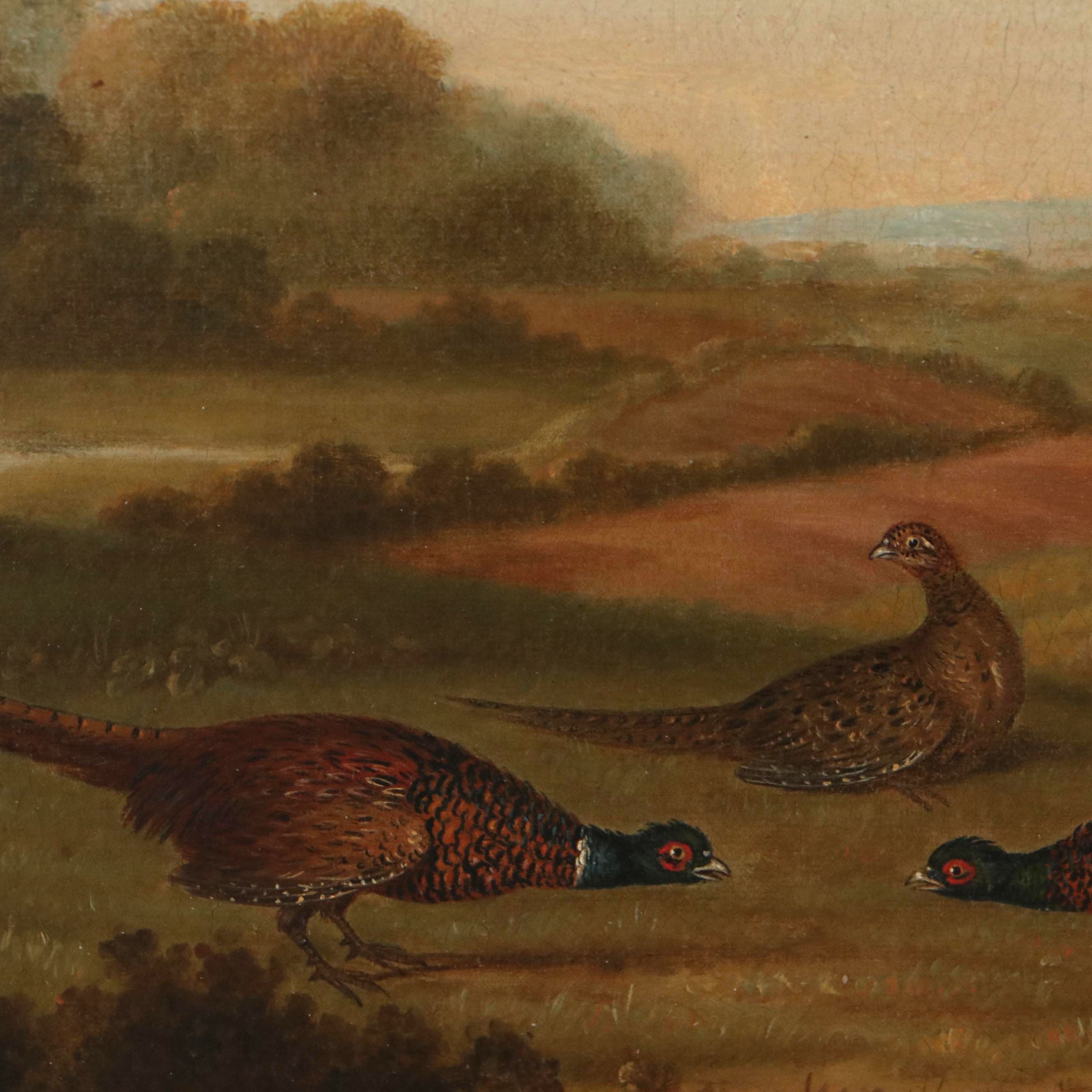 Stephen Elmer "Pheasants in Landscape" Oil Painting