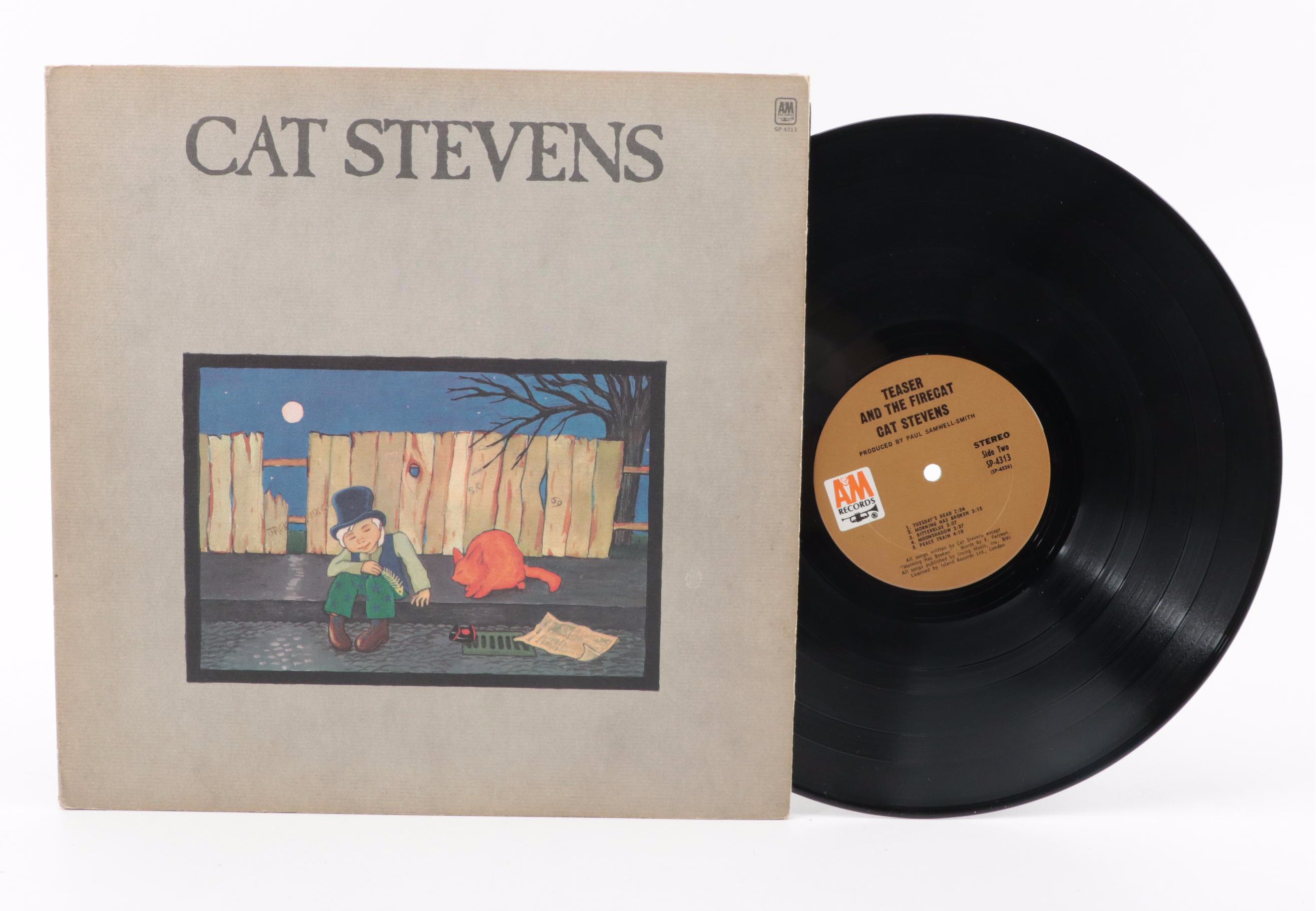 Joni Mitchell, Gordon Lightfoot, Cat Stevens, Joan Baez and More Vinyl Records