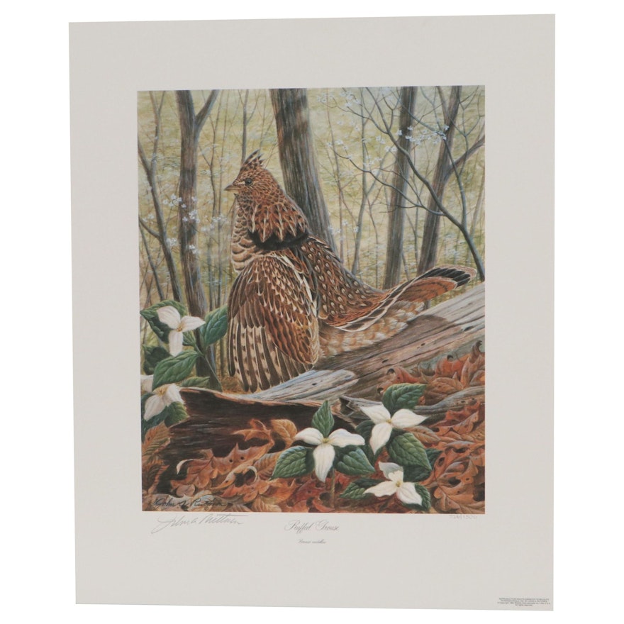 John Ruthven Offset Lithograph "Ruffed Grouse," Late 20th Century