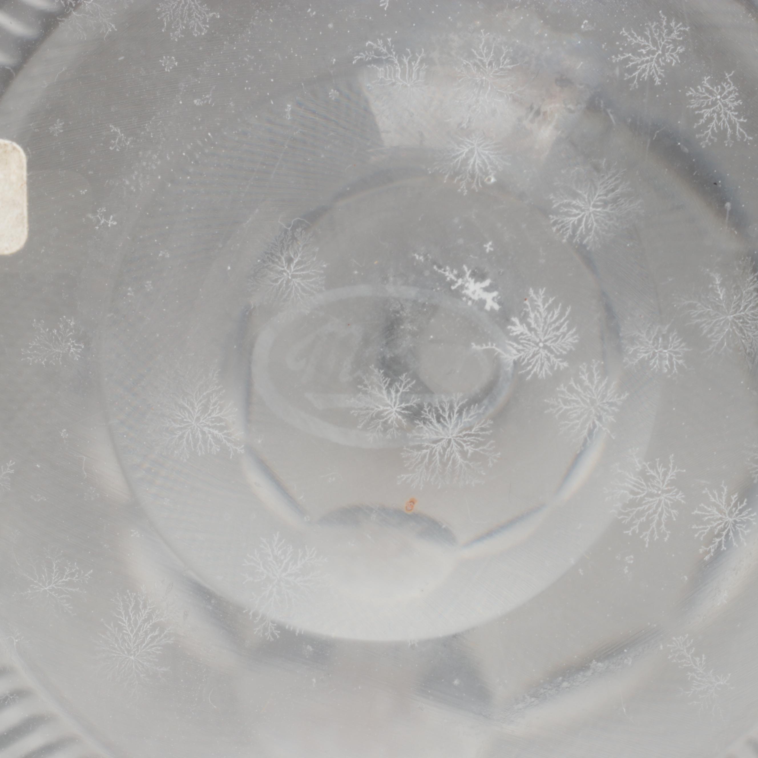 Moser "Splendid" Gilt Encrusted Cut Glass Champagne Coupes and Decanter