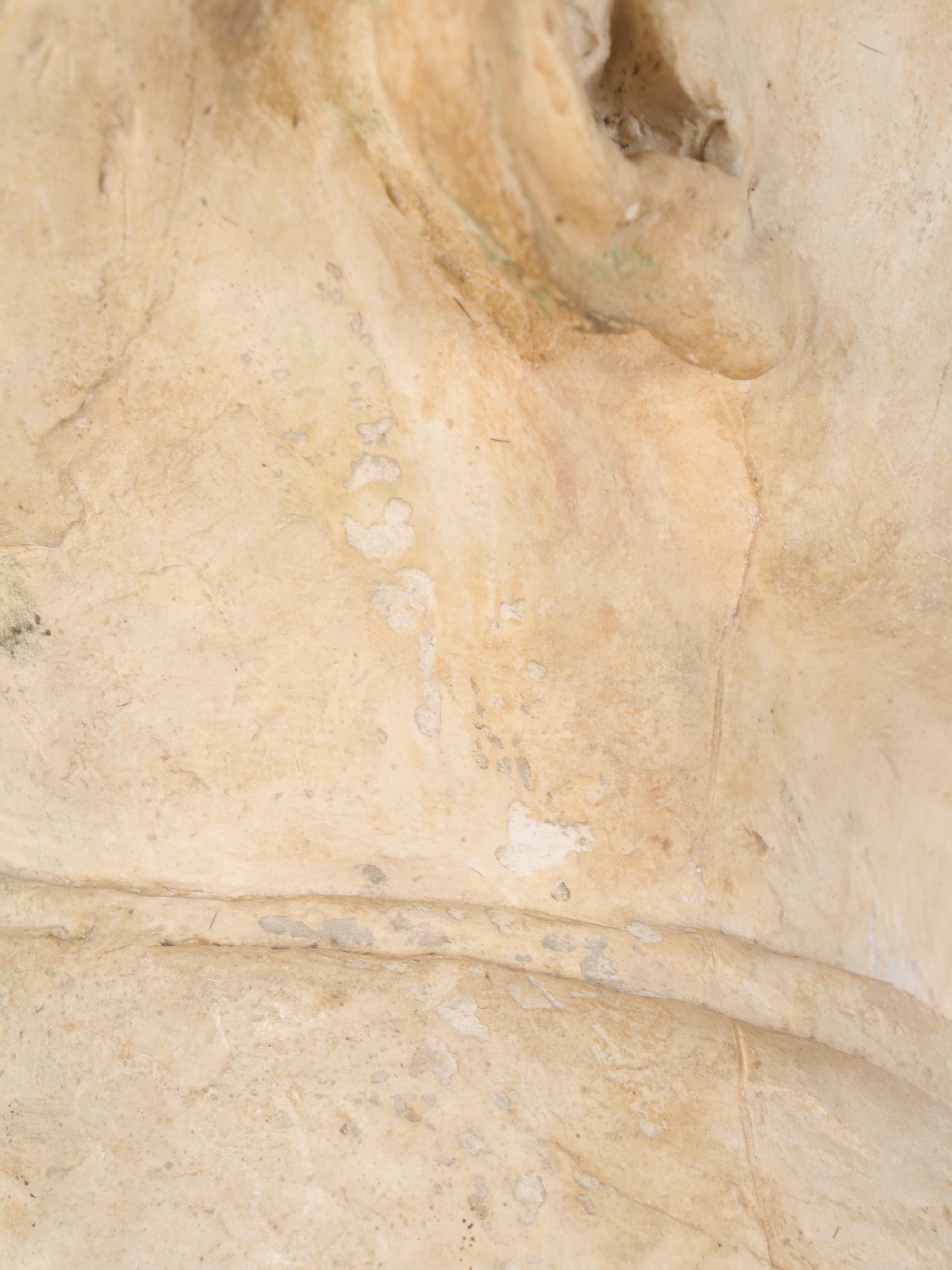 Plaster Cast Sculptural Bust of Man Wearing Suit