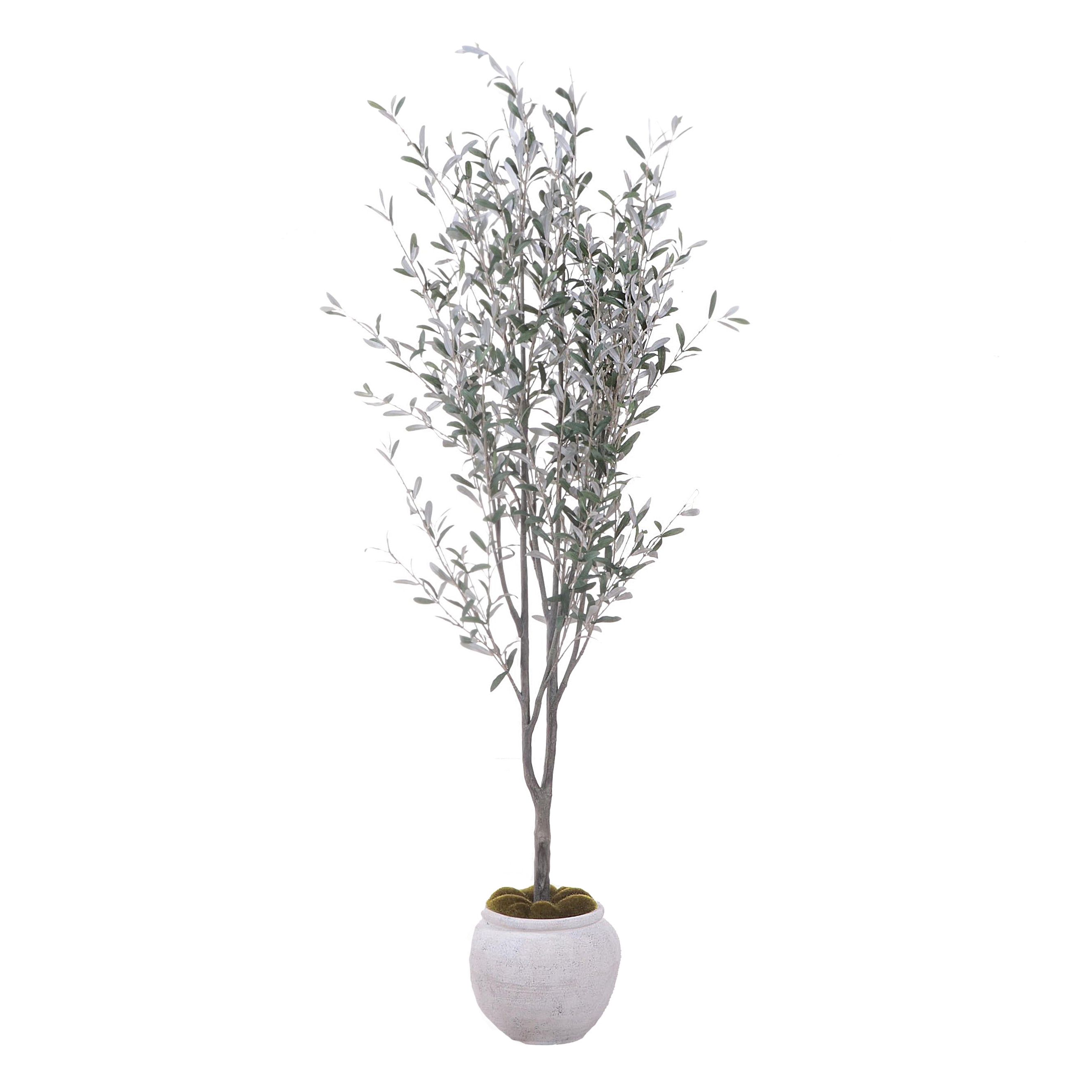 Studio McGee Threshold Artificial Olive Tree in Planter
