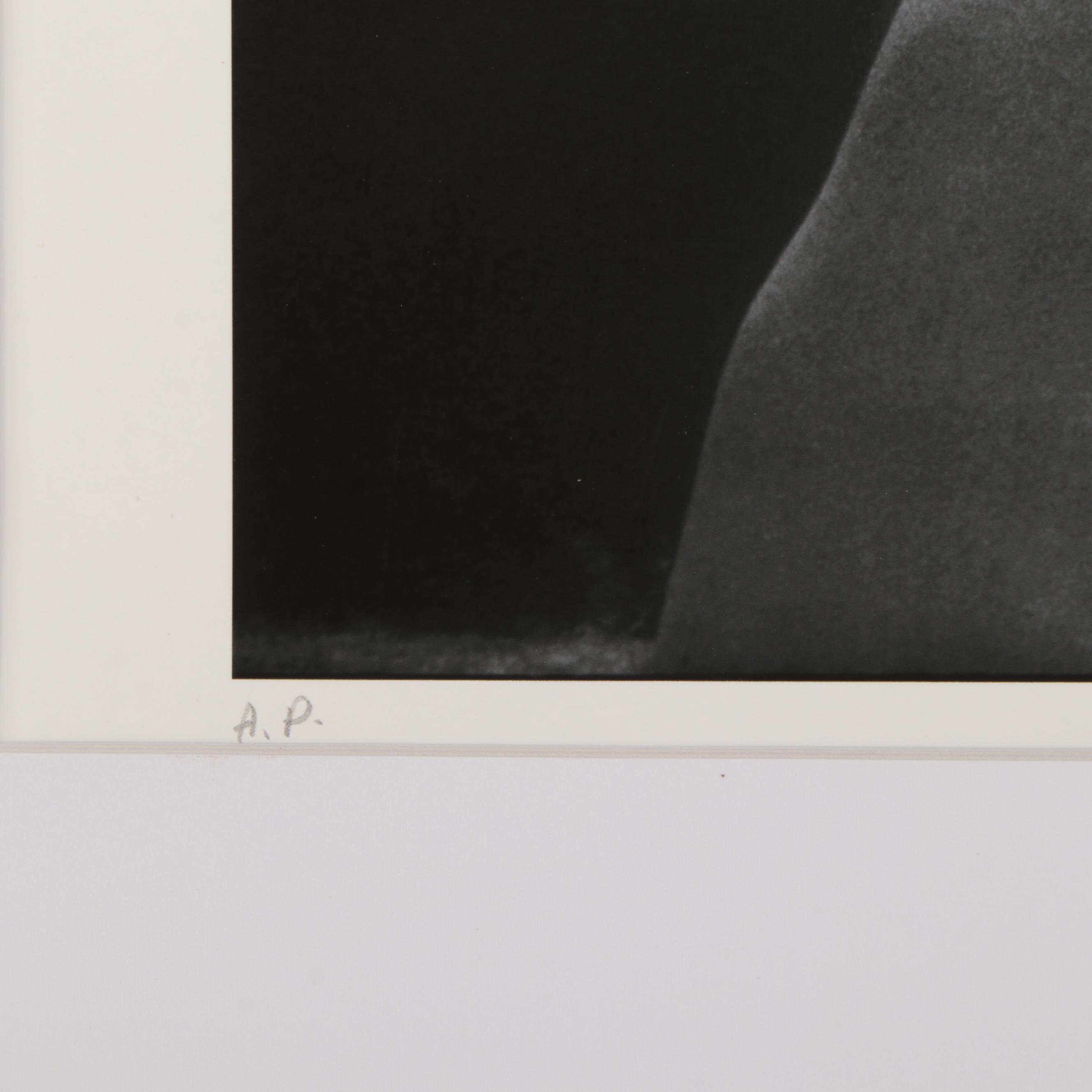 Lee Bowers Double-Sided Architectural Digital Photographs