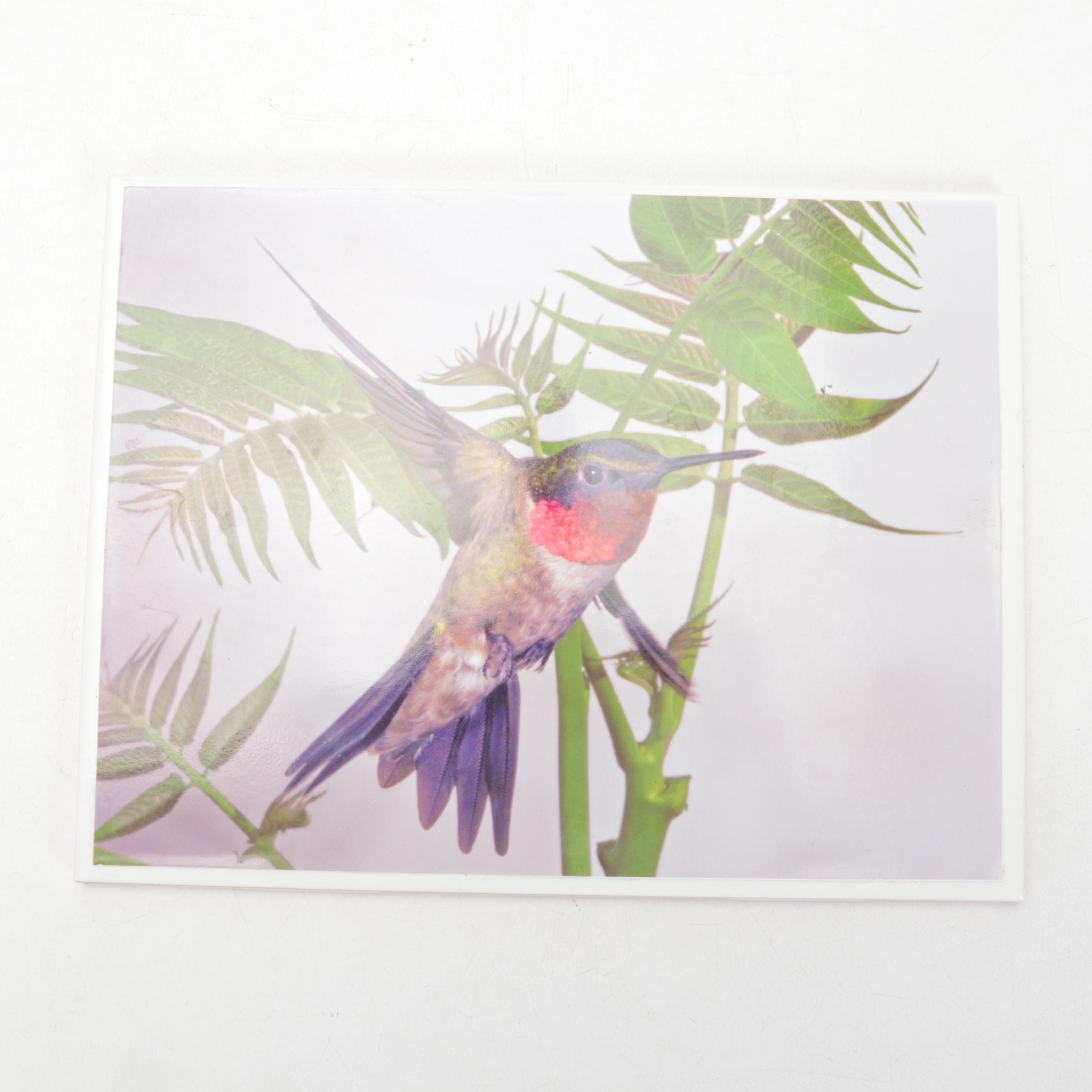 Cat and Botanical Themed Glazed Earthenware Tiles Including Mudpi and Kate Lally