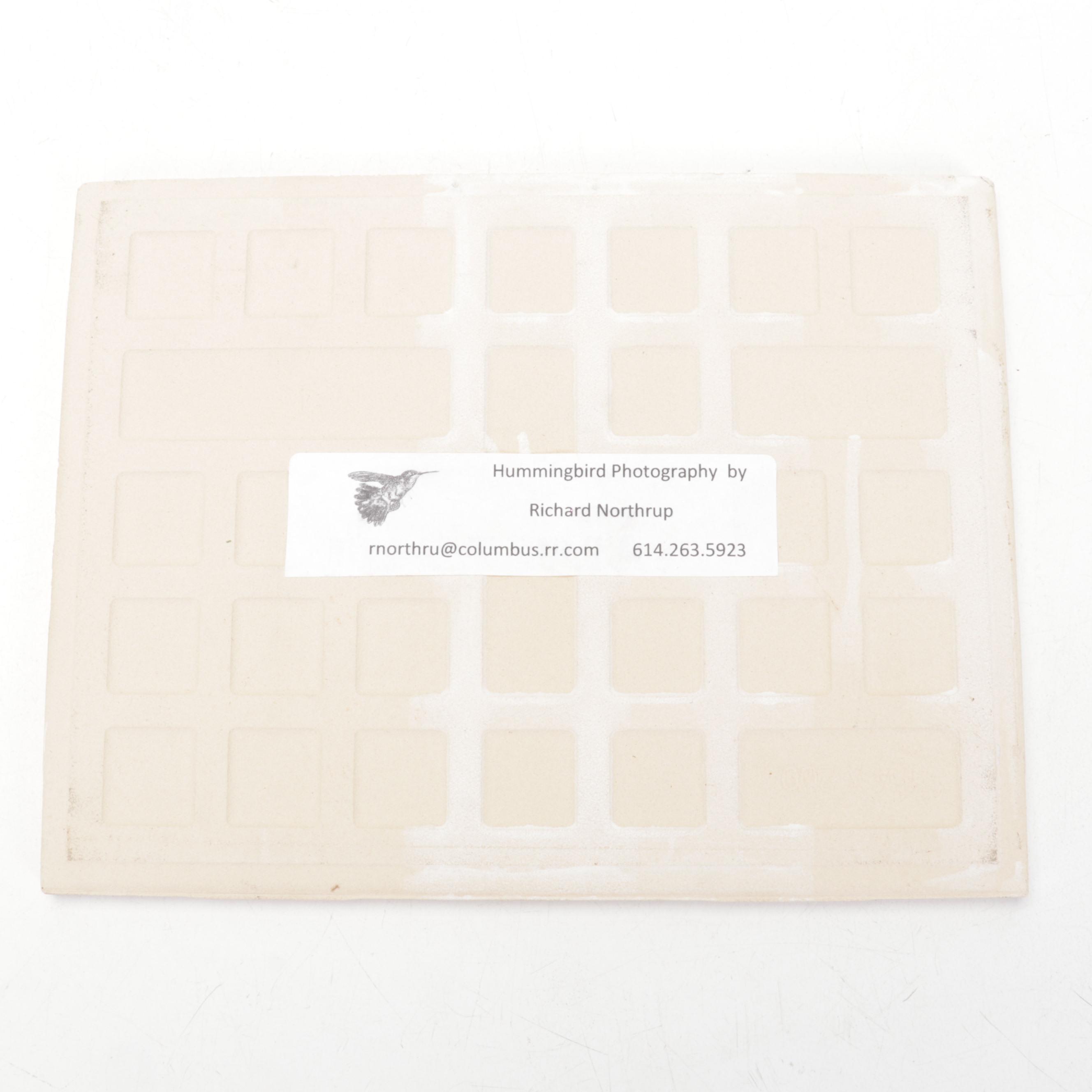 Cat and Botanical Themed Glazed Earthenware Tiles Including Mudpi and Kate Lally