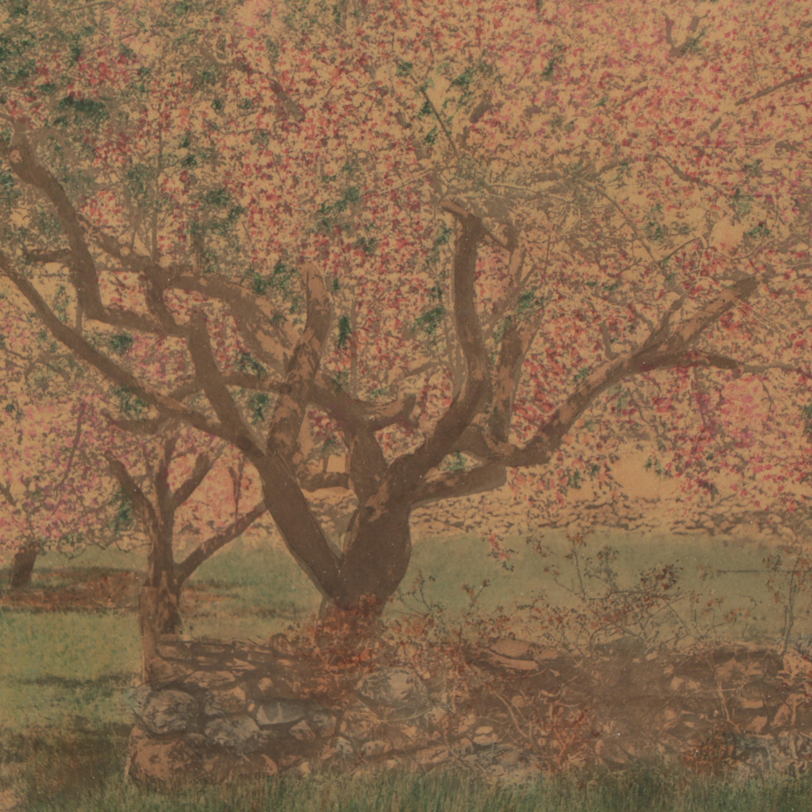 Wallace Nutting Hand-Colored Photograph "The Way Through the Orchard"