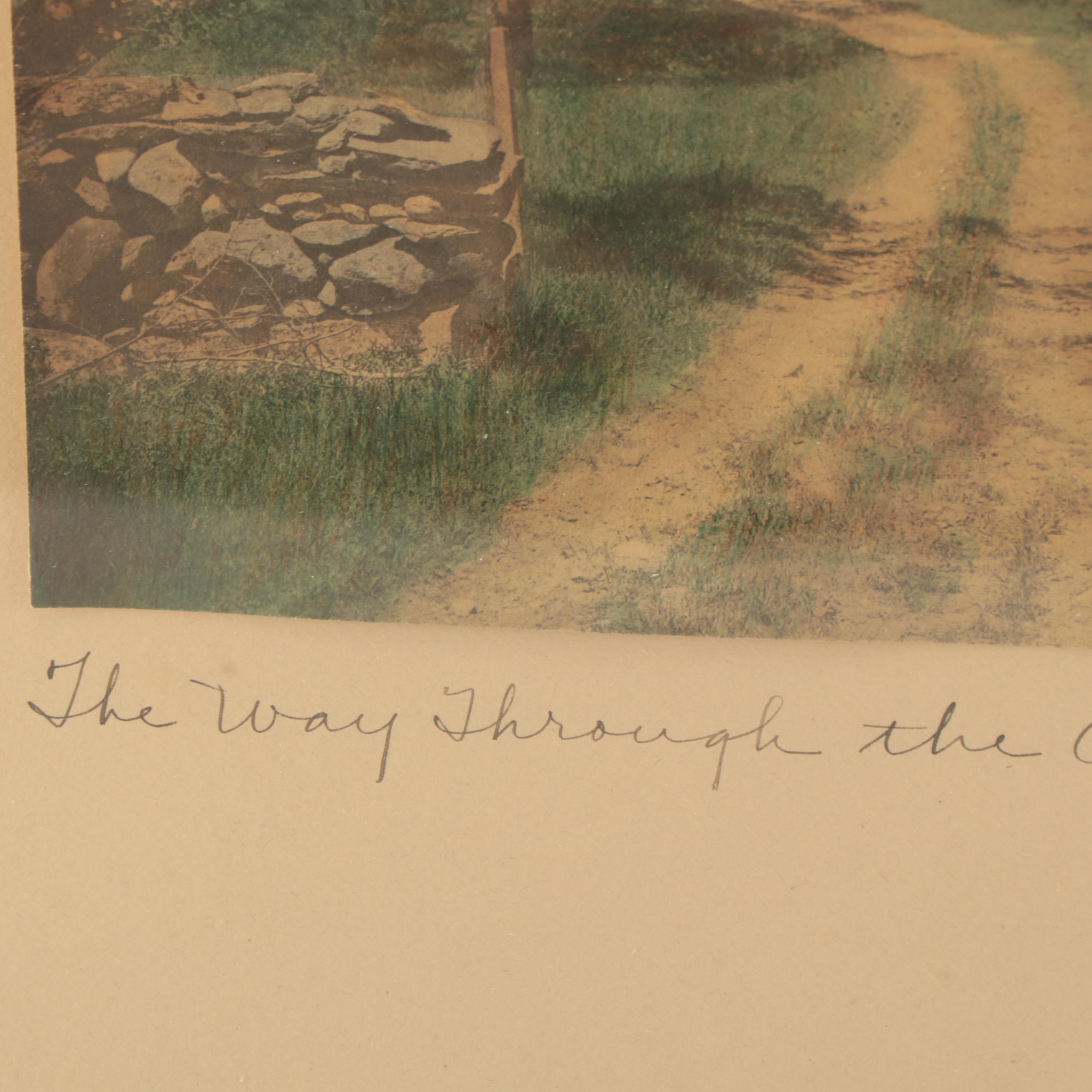 Wallace Nutting Hand-Colored Photograph "The Way Through the Orchard"