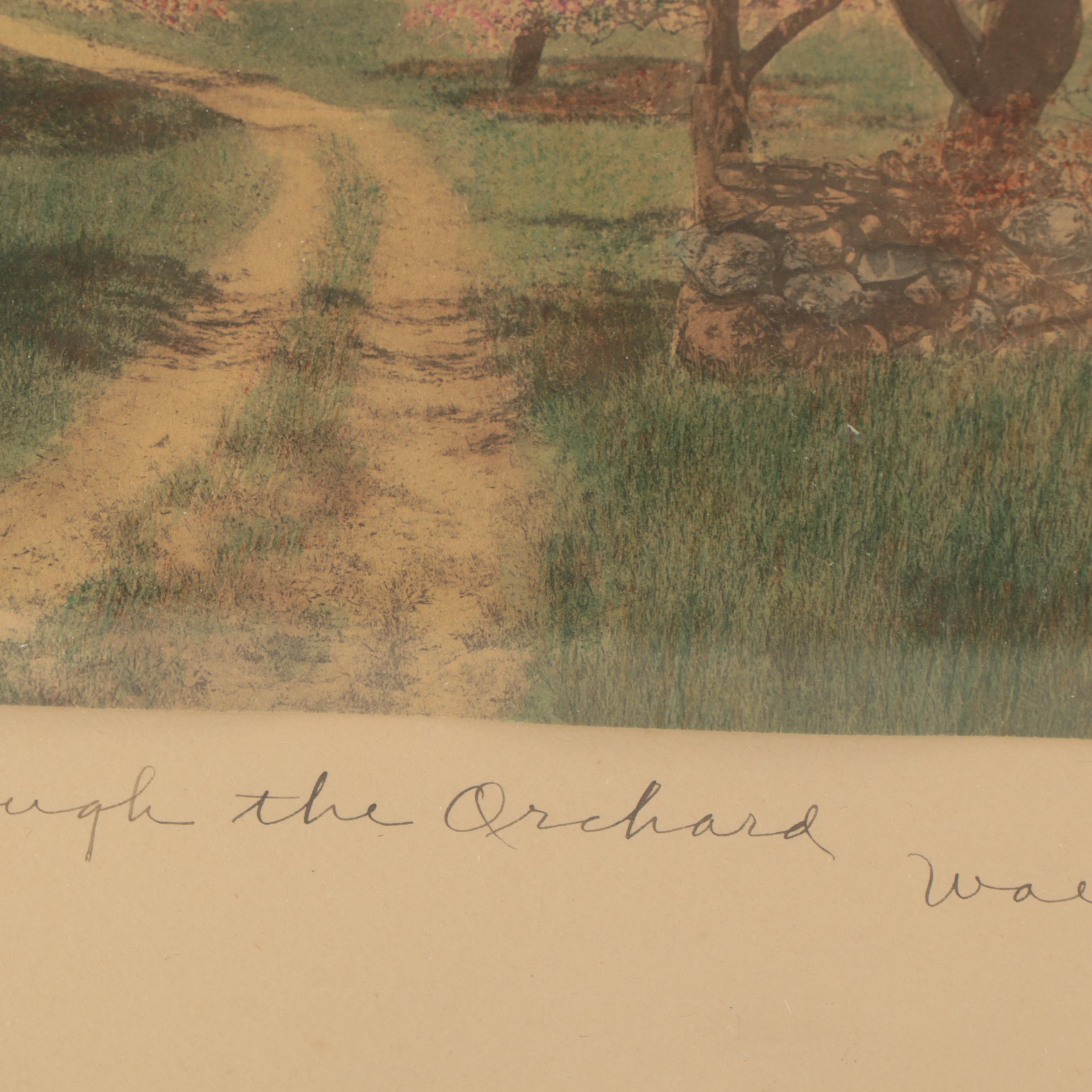 Wallace Nutting Hand-Colored Photograph "The Way Through the Orchard"