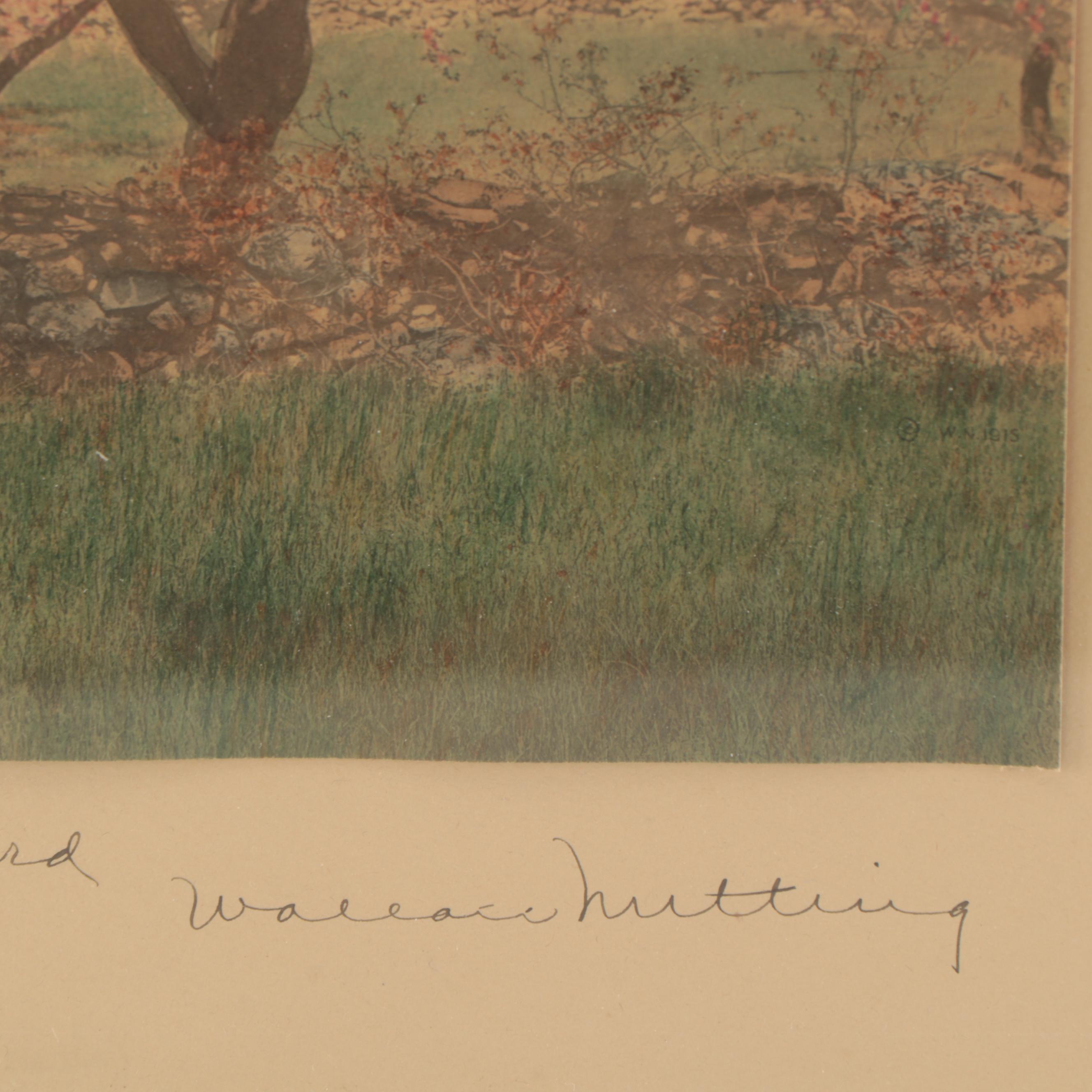 Wallace Nutting Hand-Colored Photograph "The Way Through the Orchard"
