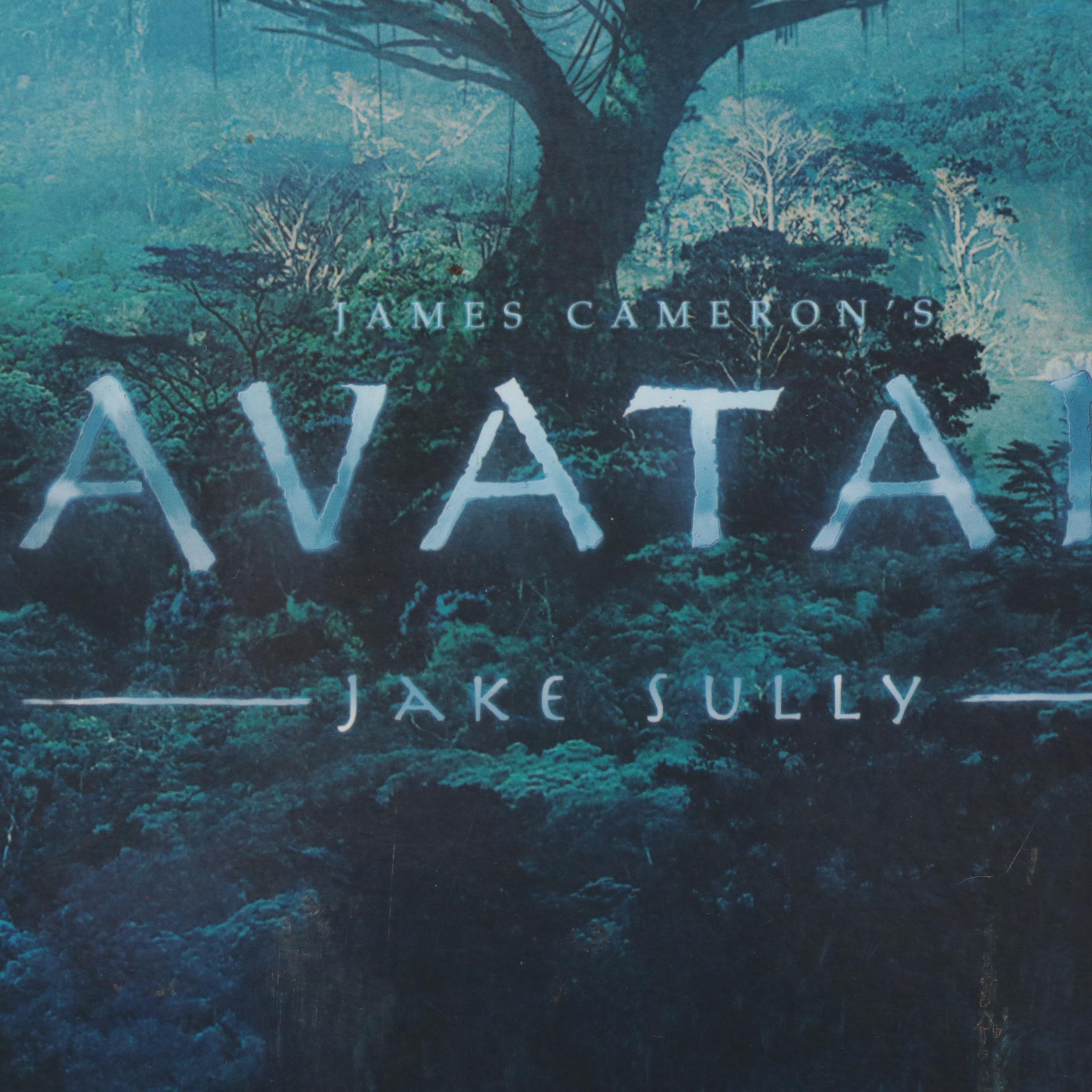 Collector's Edition Hot Toys Limited Avatar Jake Sully Action Figure in Box