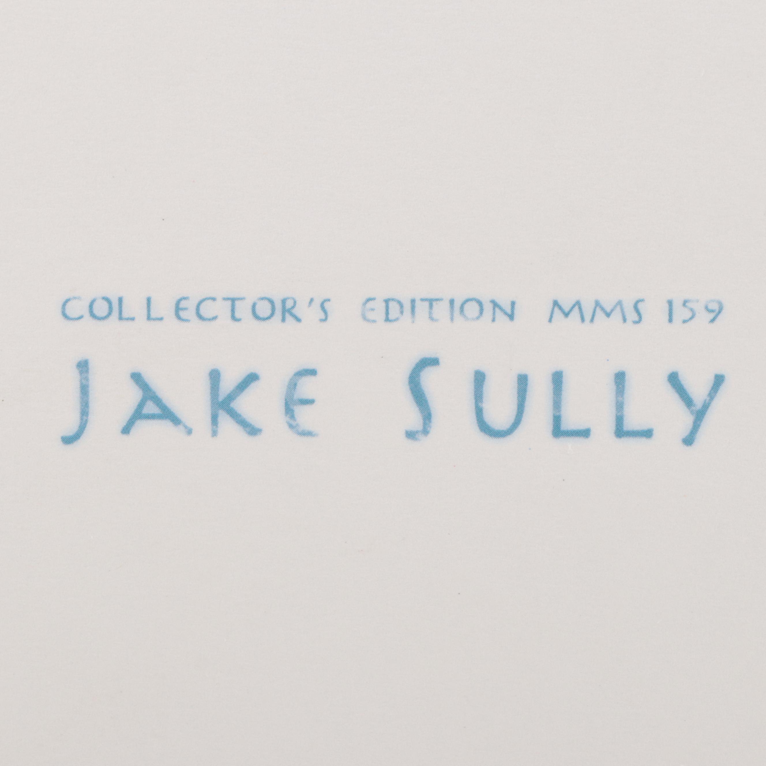 Collector's Edition Hot Toys Limited Avatar Jake Sully Action Figure in Box